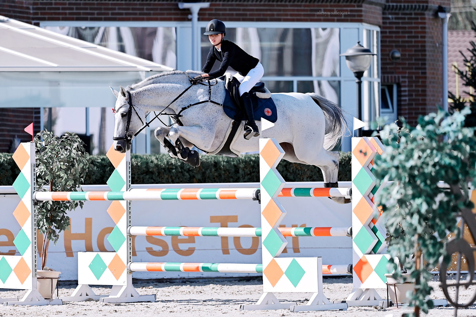 Голден. Конный фотограф Alesya Safe