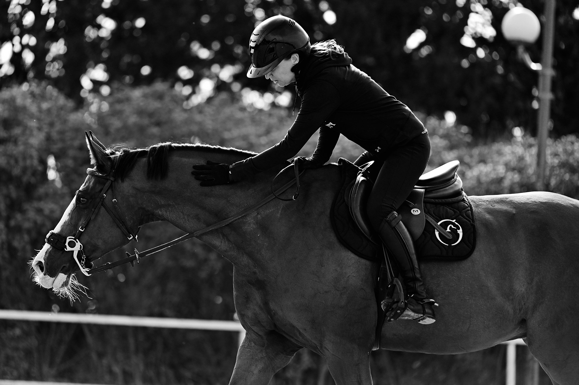 Тренировки. Конный фотограф Alesya Safe
