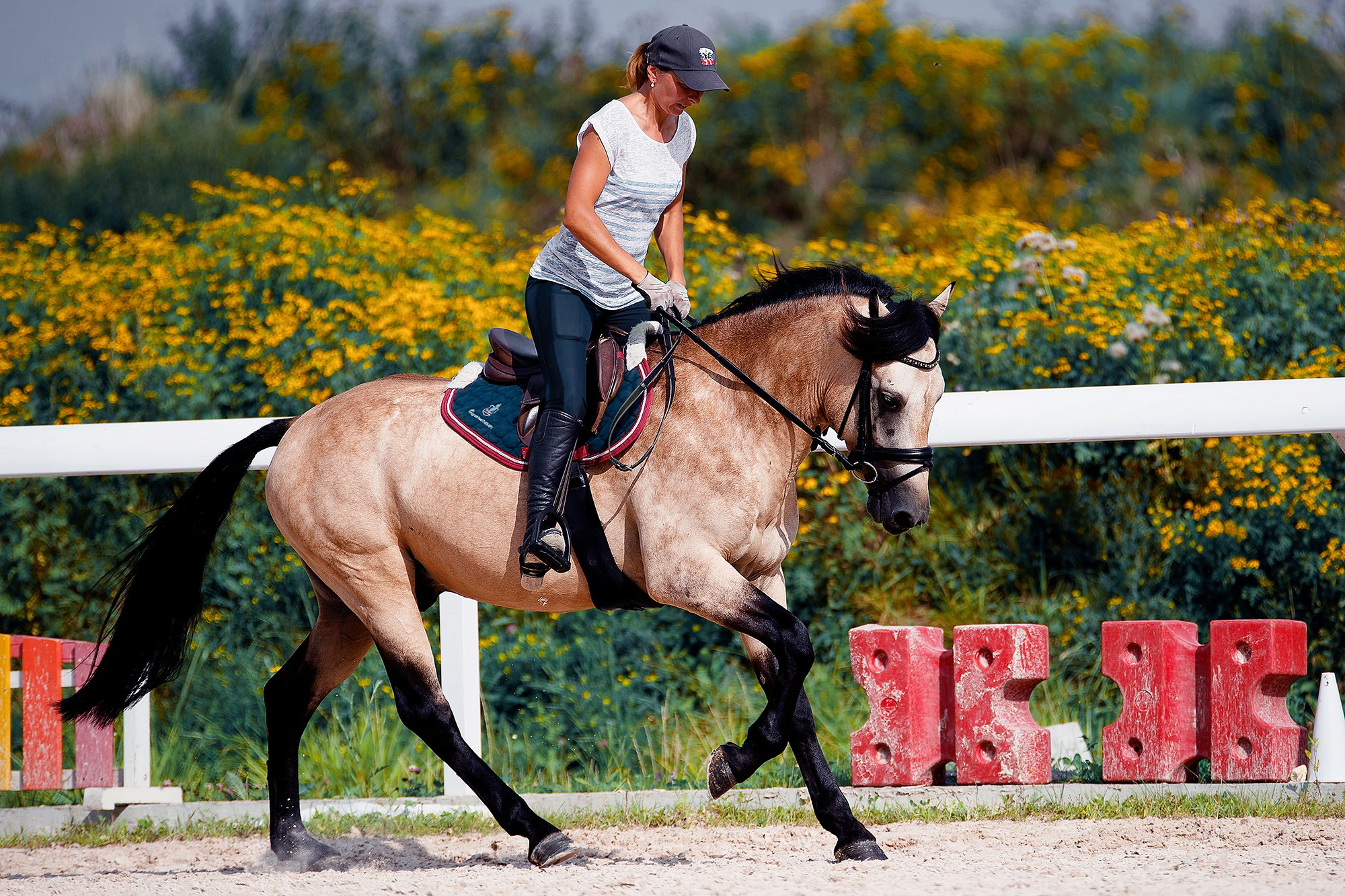 Тренировки. Конный фотограф Alesya Safe