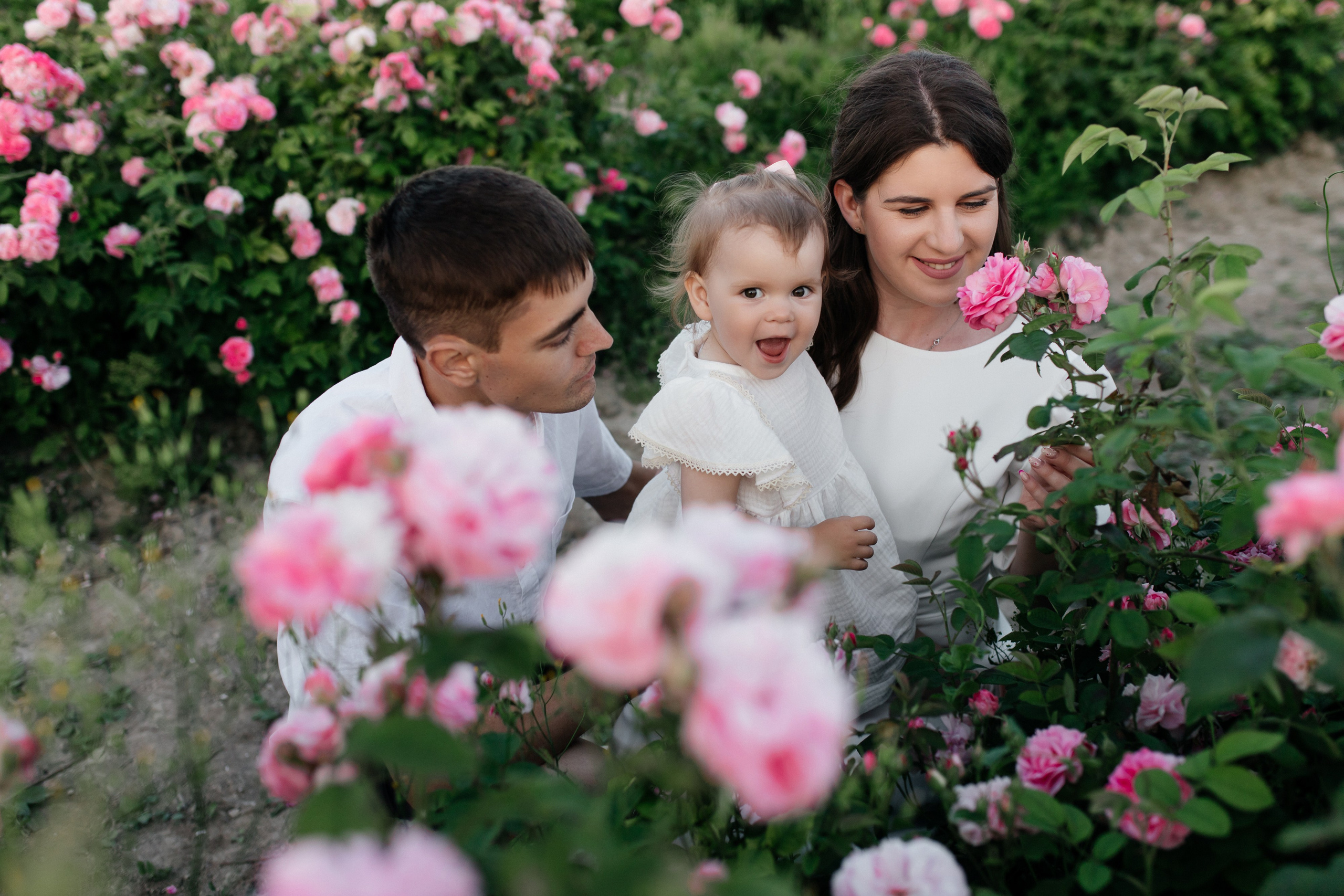 Rose. ФОТОГРАФ