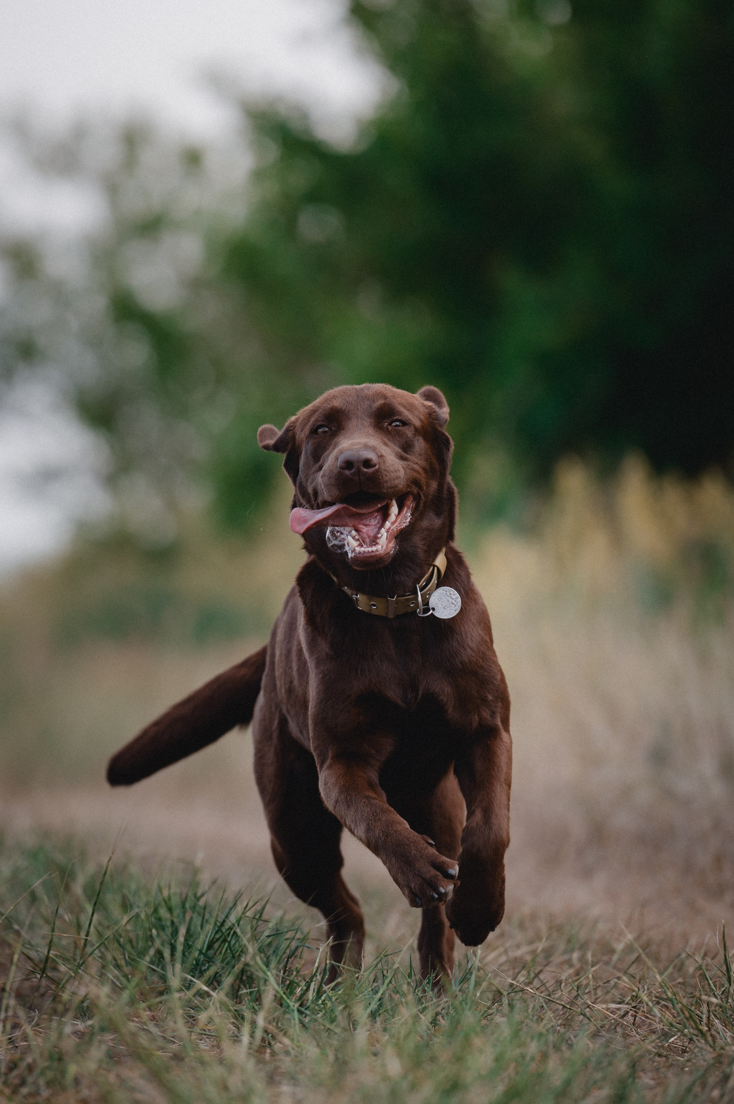 Анечка и Дэя. Фотограф в Ростове —на — Дону