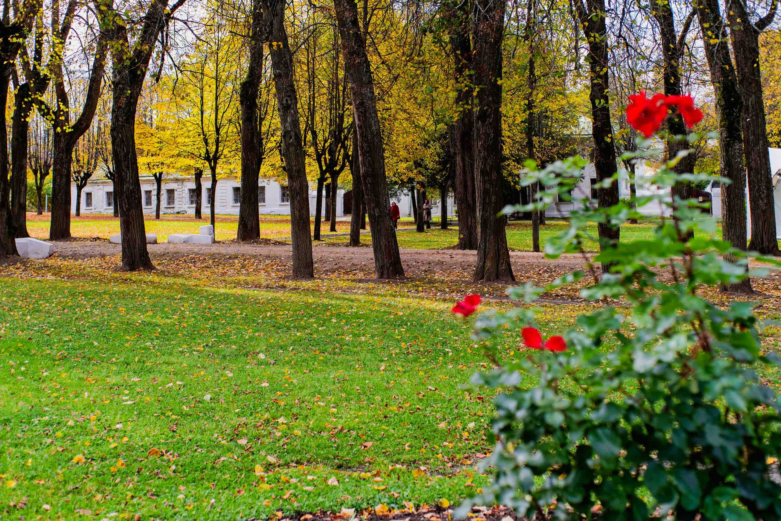 Лермонтов — краш