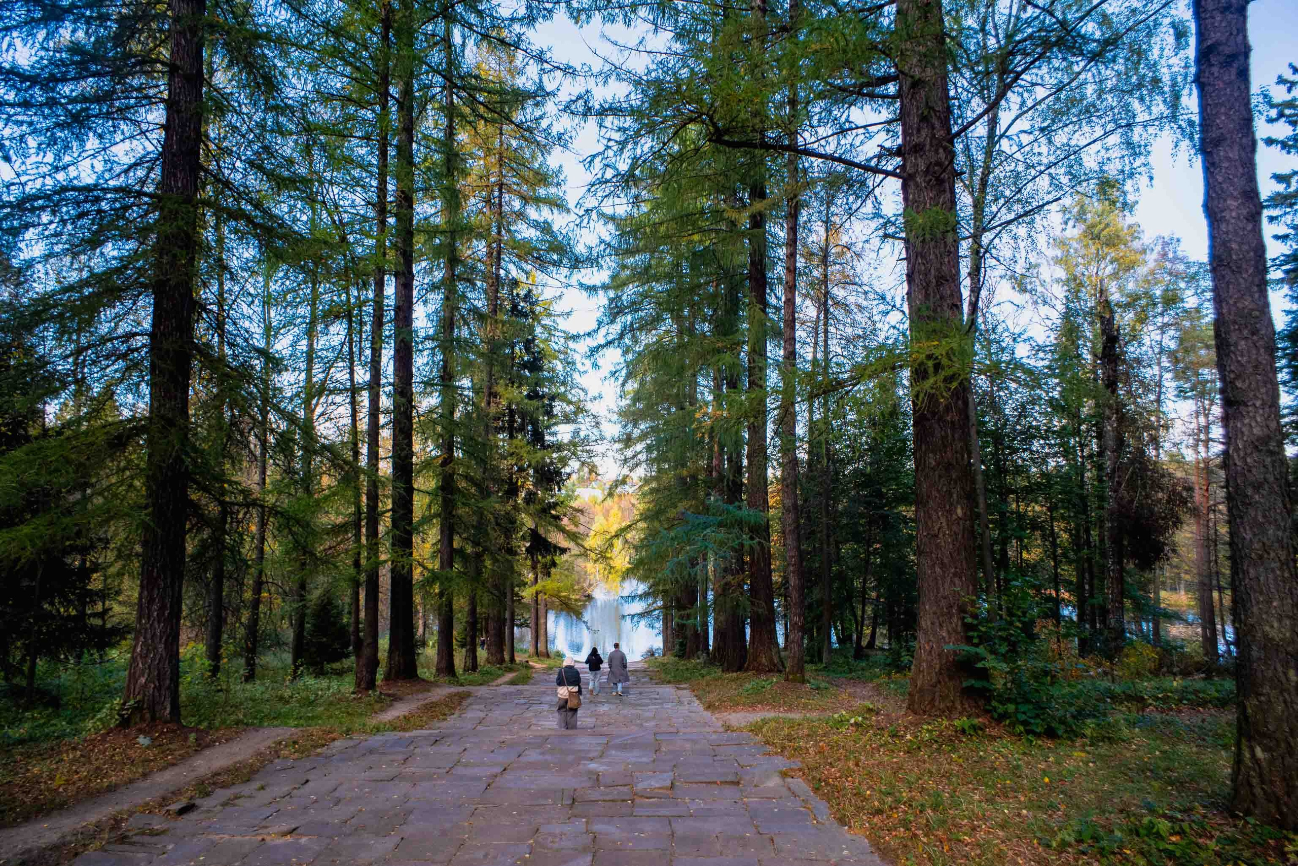 Лермонтов — краш