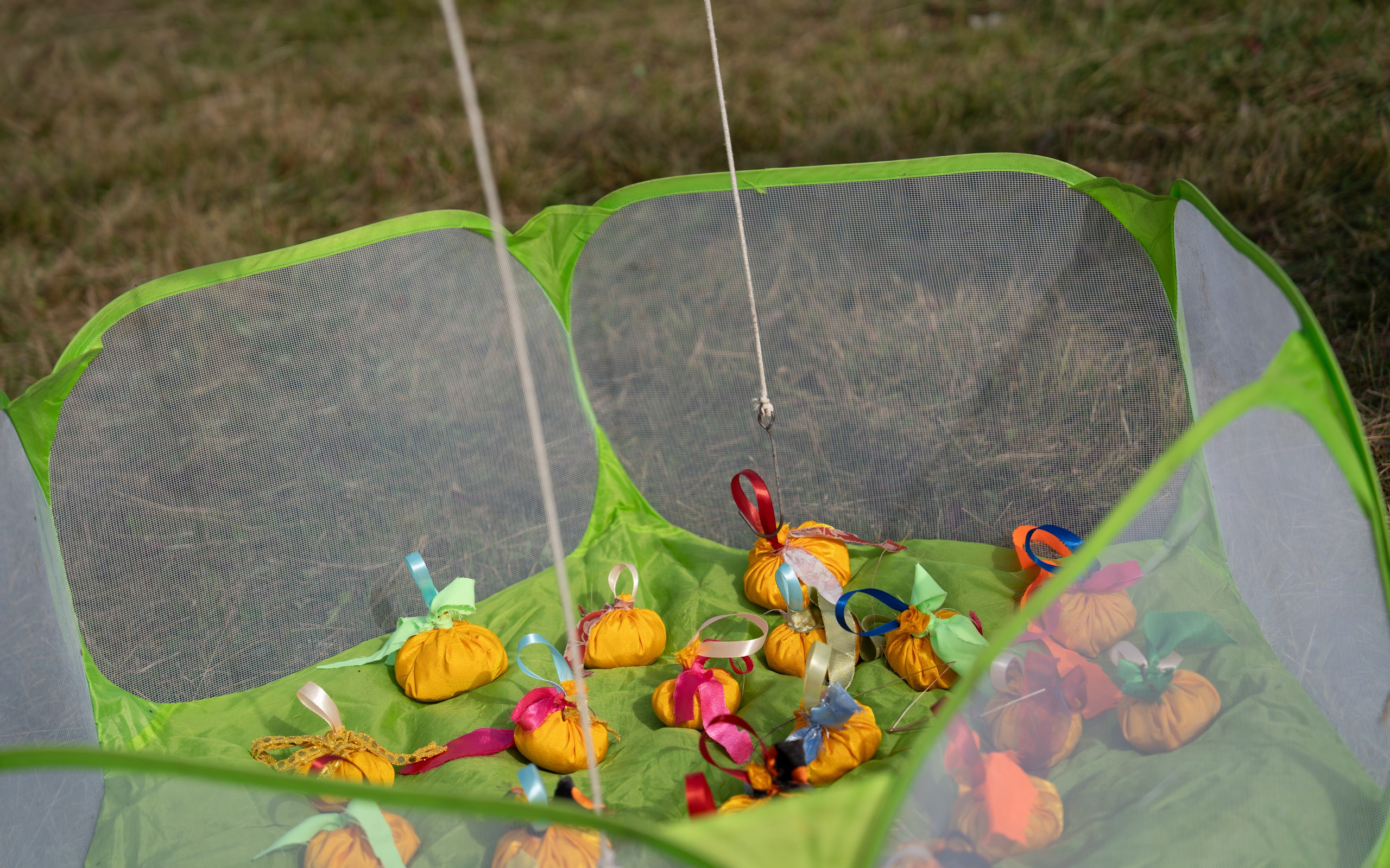 Ярмарка. Фотограф Наталья Сорока Ижевск