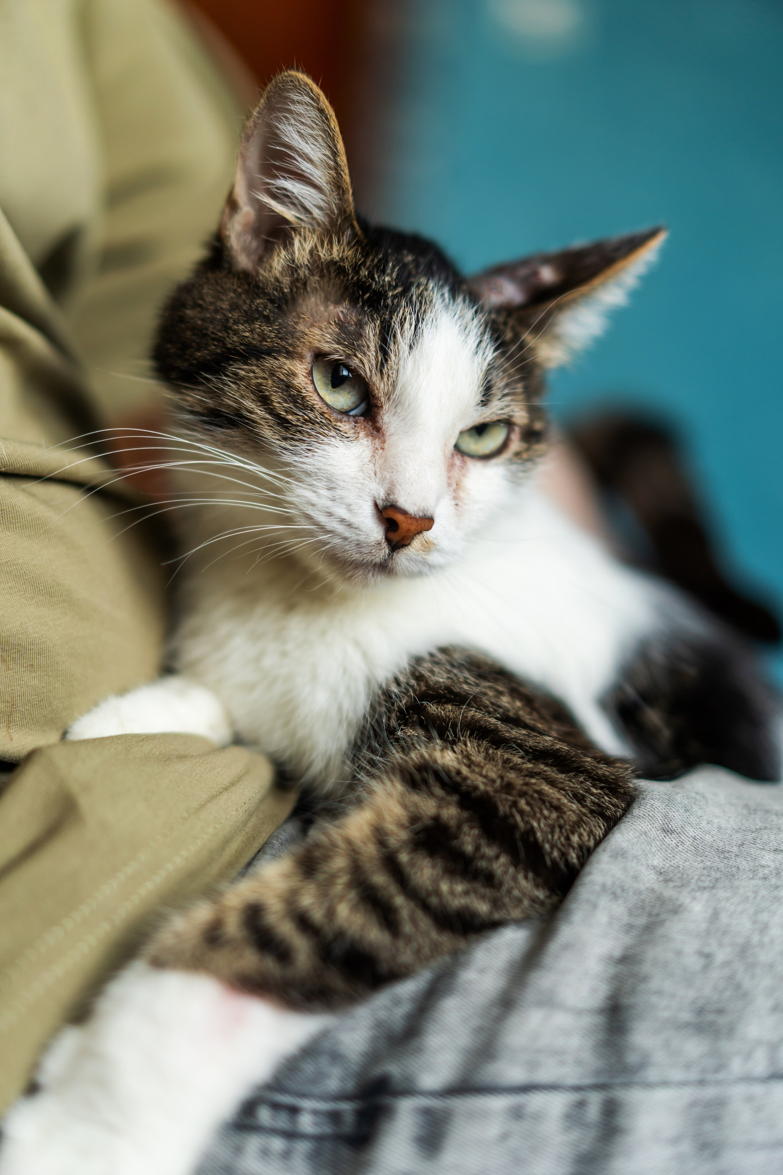 С животными. Фотограф Челябинск · Ольга Серебрякова