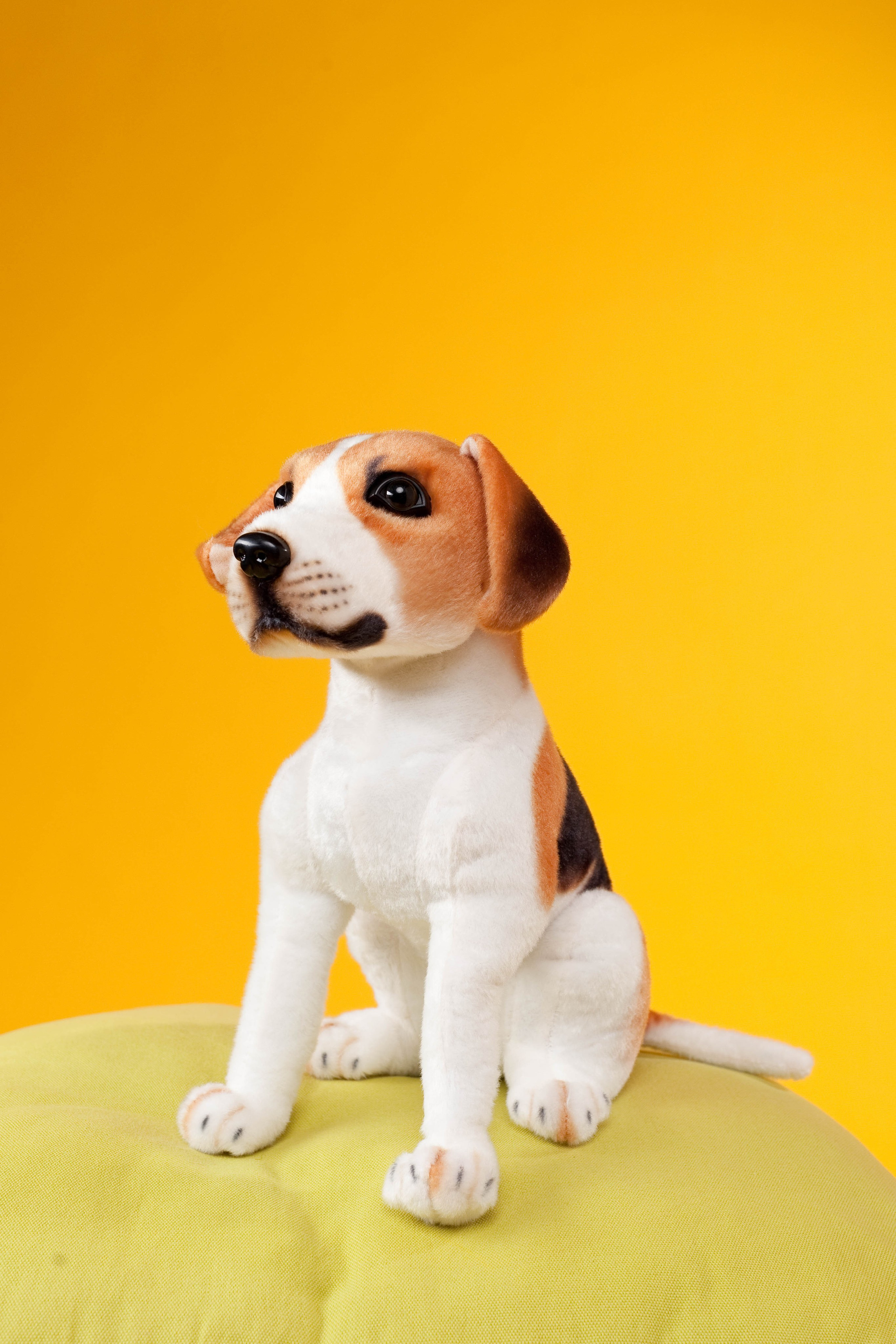 Каталожная съемка Москва. Предметный фотограф в Москве Дарья Радькович