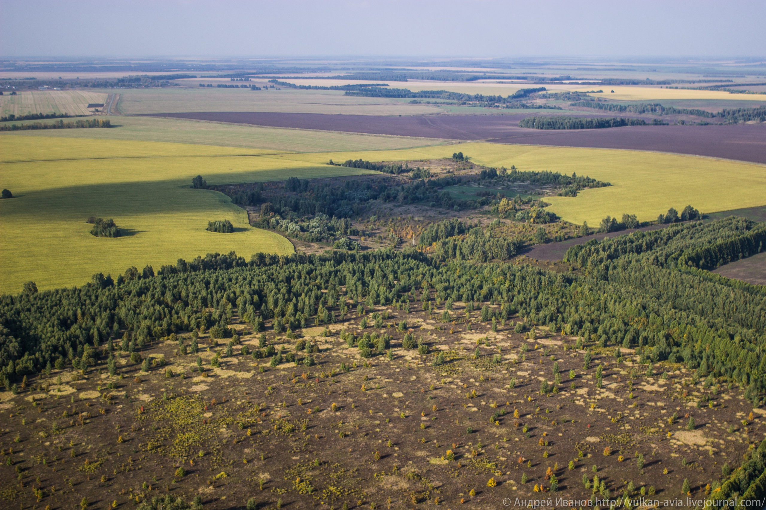 Волгодонск аэр. Потапов слёт «Небо для всех» (2021 г.). Фотоальбом показывающий увлекательный мир авиации и мир медведей Андрея Иванова