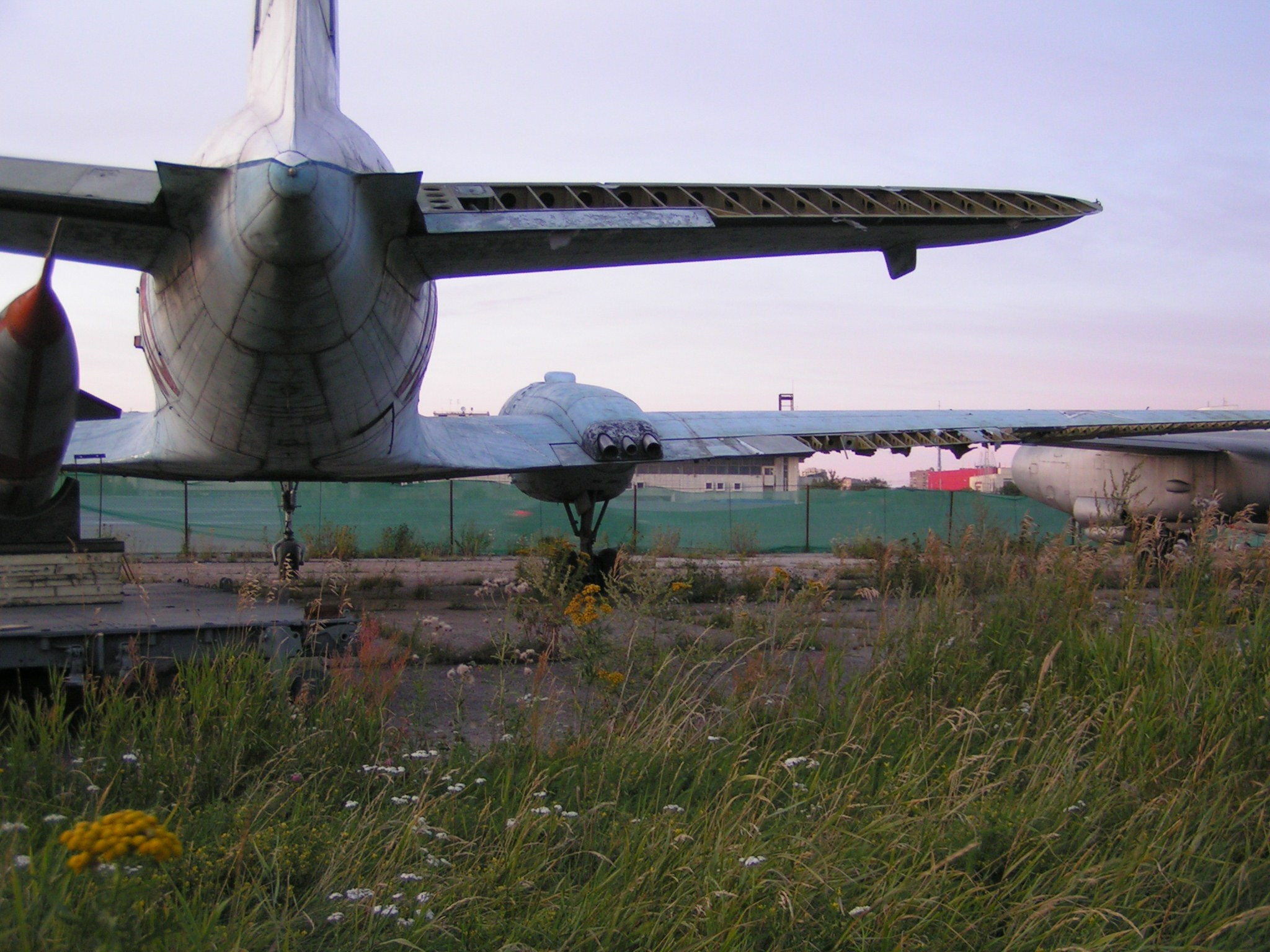 Ил-14 (Ходынка) — уничтожен. Фотоальбом показывающий увлекательный мир авиации и мир медведей Андрея Иванова