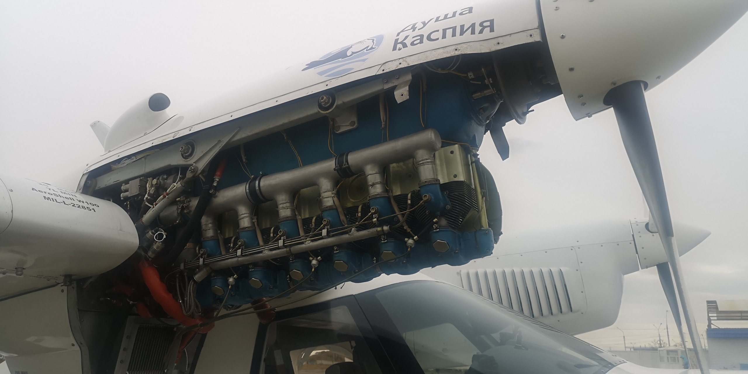 Каспийское море (наука на Ла-8) (2021 г.). Фотоальбом показывающий увлекательный мир авиации и мир медведей Андрея Иванова