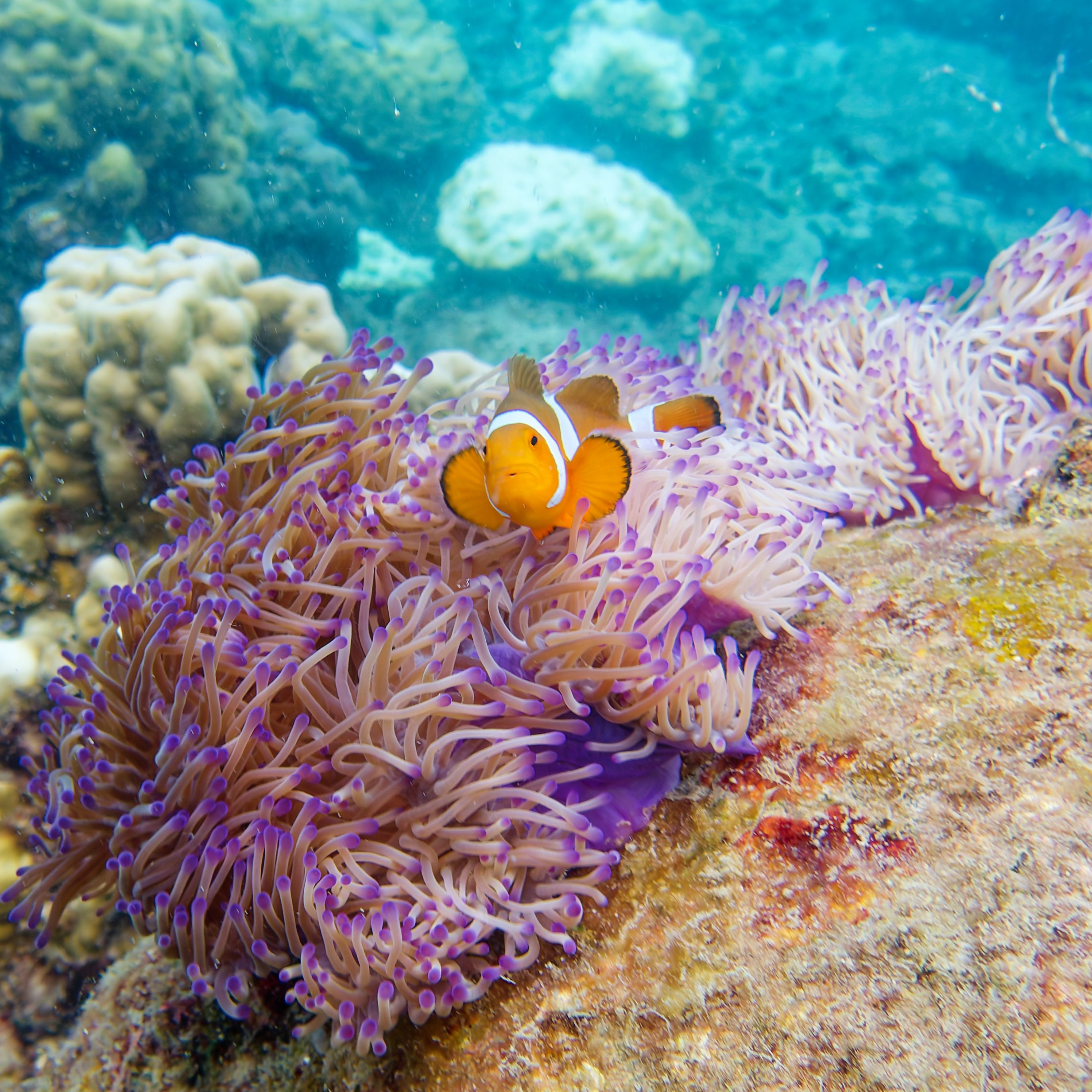 Мне посмотреть. Рыбов показываю