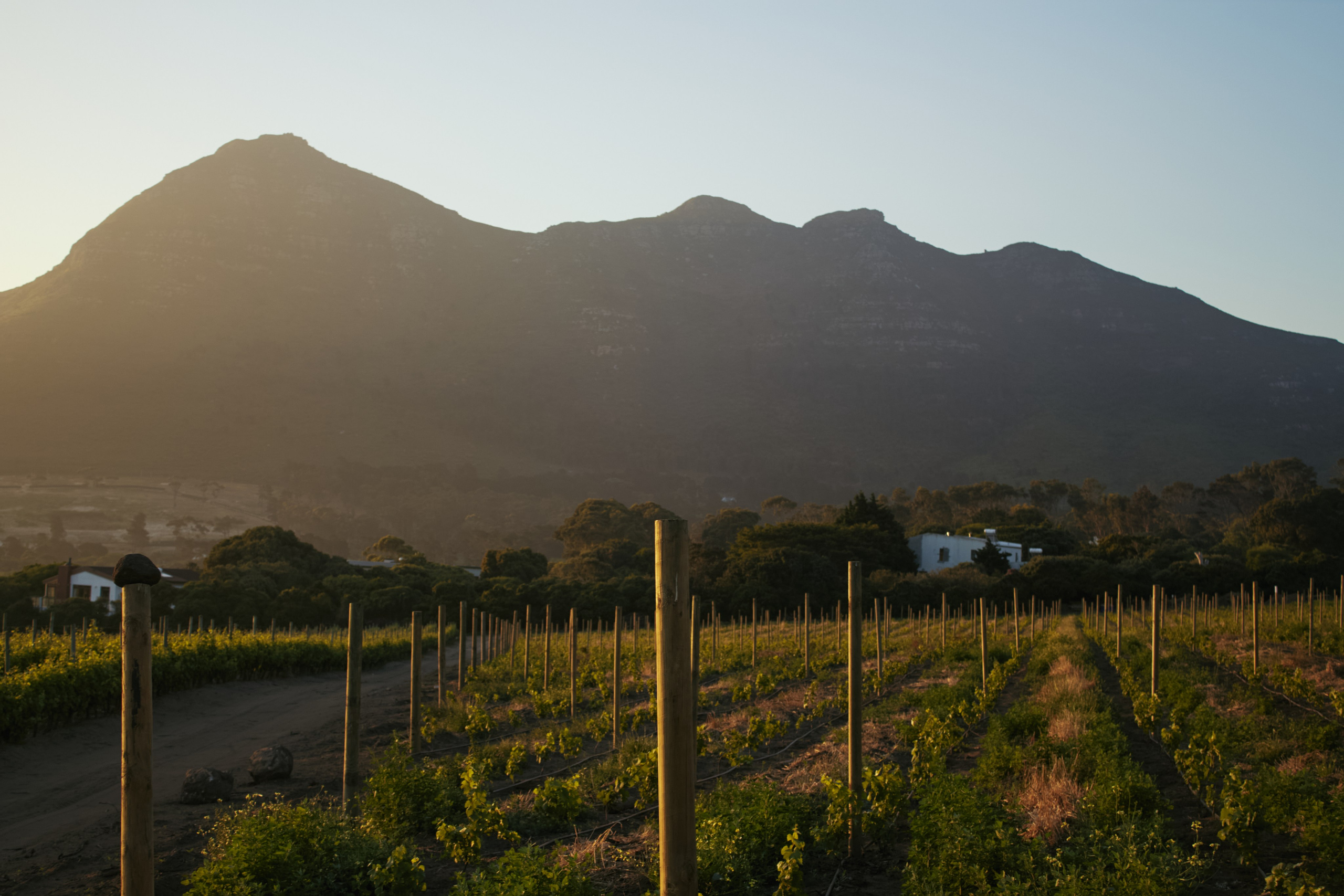 ЮАР. Профессиональный Фотограф во Владимире, в Москве и в Суздале — Полина Романычева