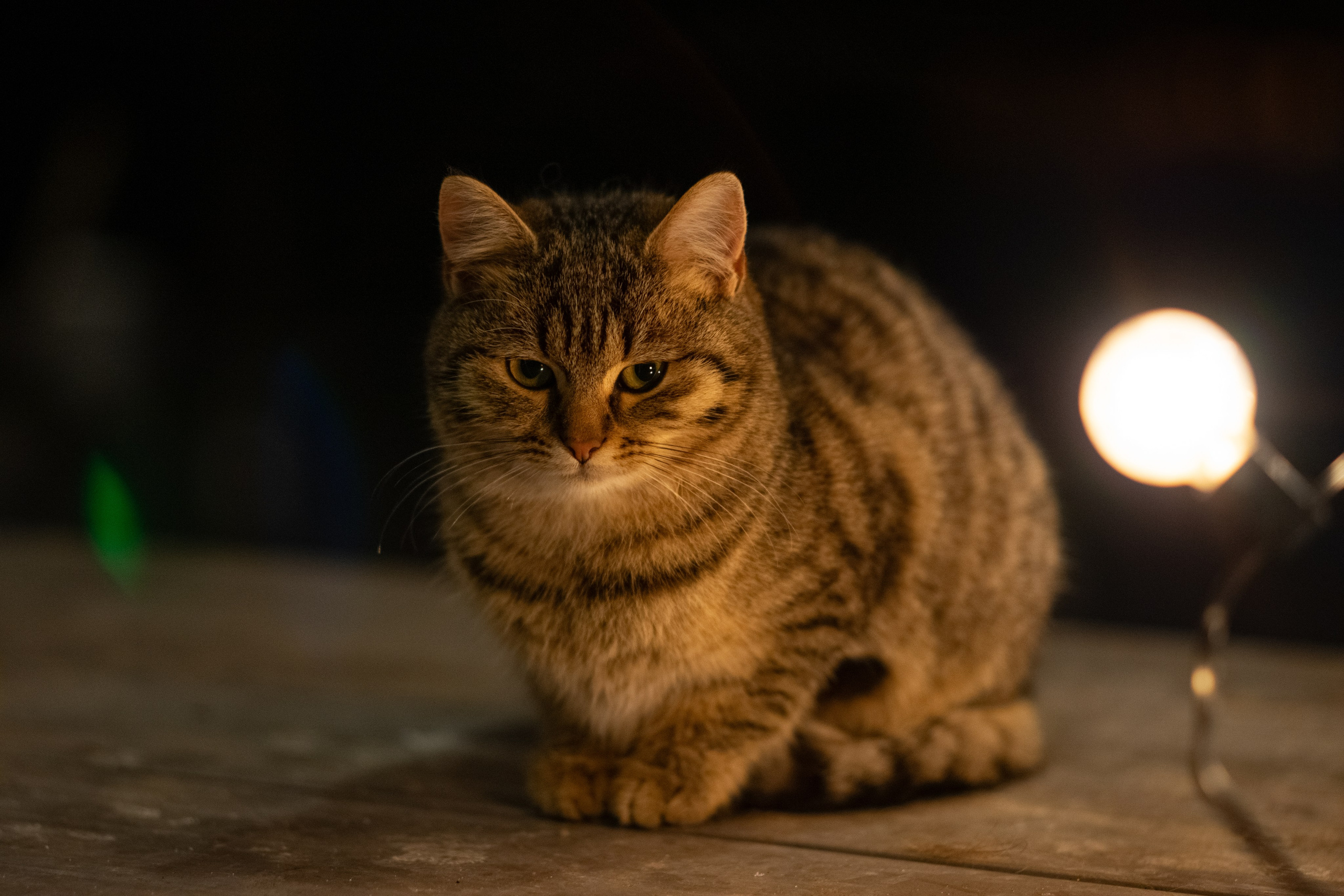 Примеры фотографий SMC Pentax 67 105mm f2.4 через переходник на Sony A7