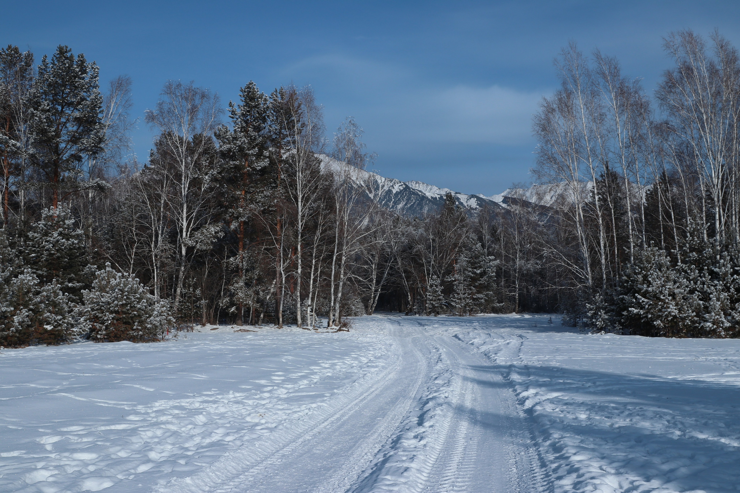 Аршан. Январь 2024. Путешественник-фотограф из Санкт-Петербурга Татьяна Свистулина