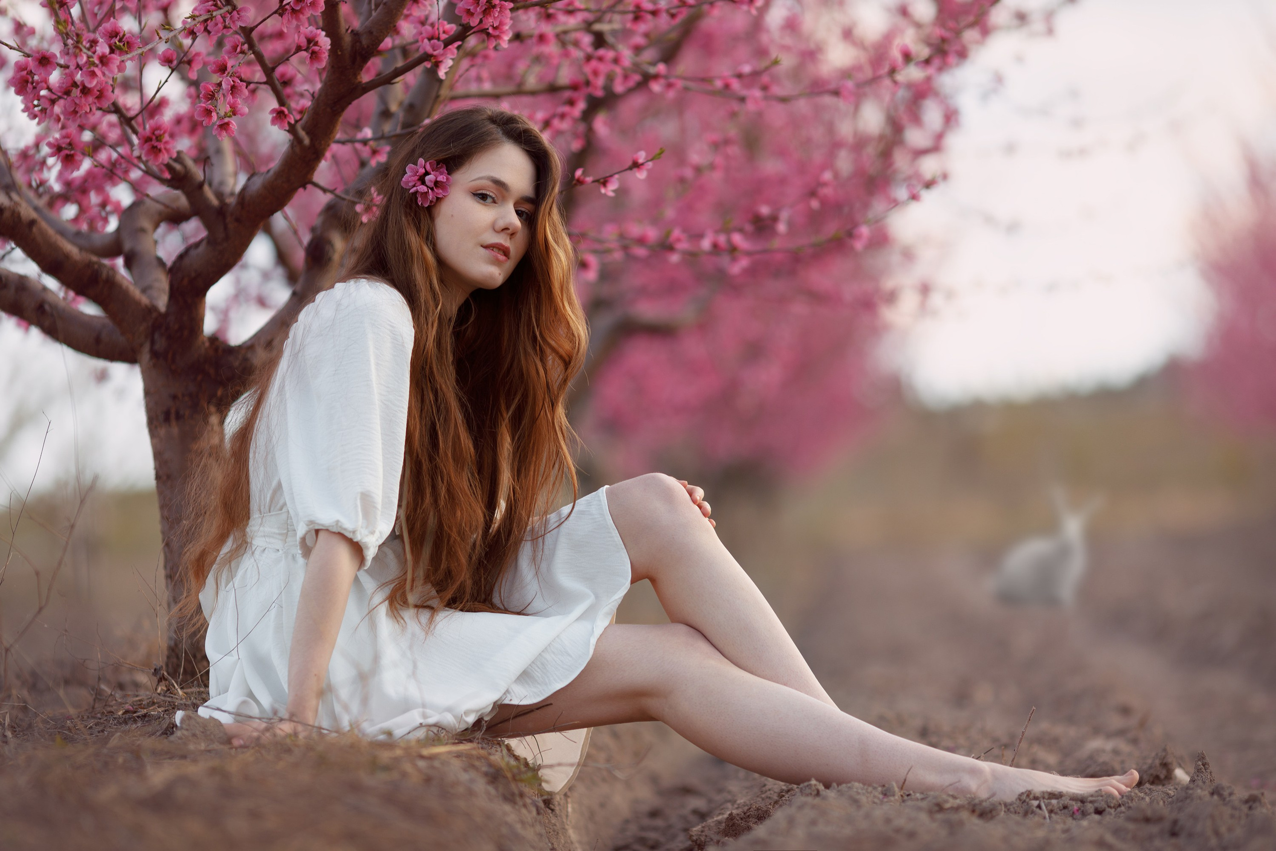 Семейная фотосъемка Крым. Вячеслав Матюхин. Видеосъемка и фотосъемка в Крыму