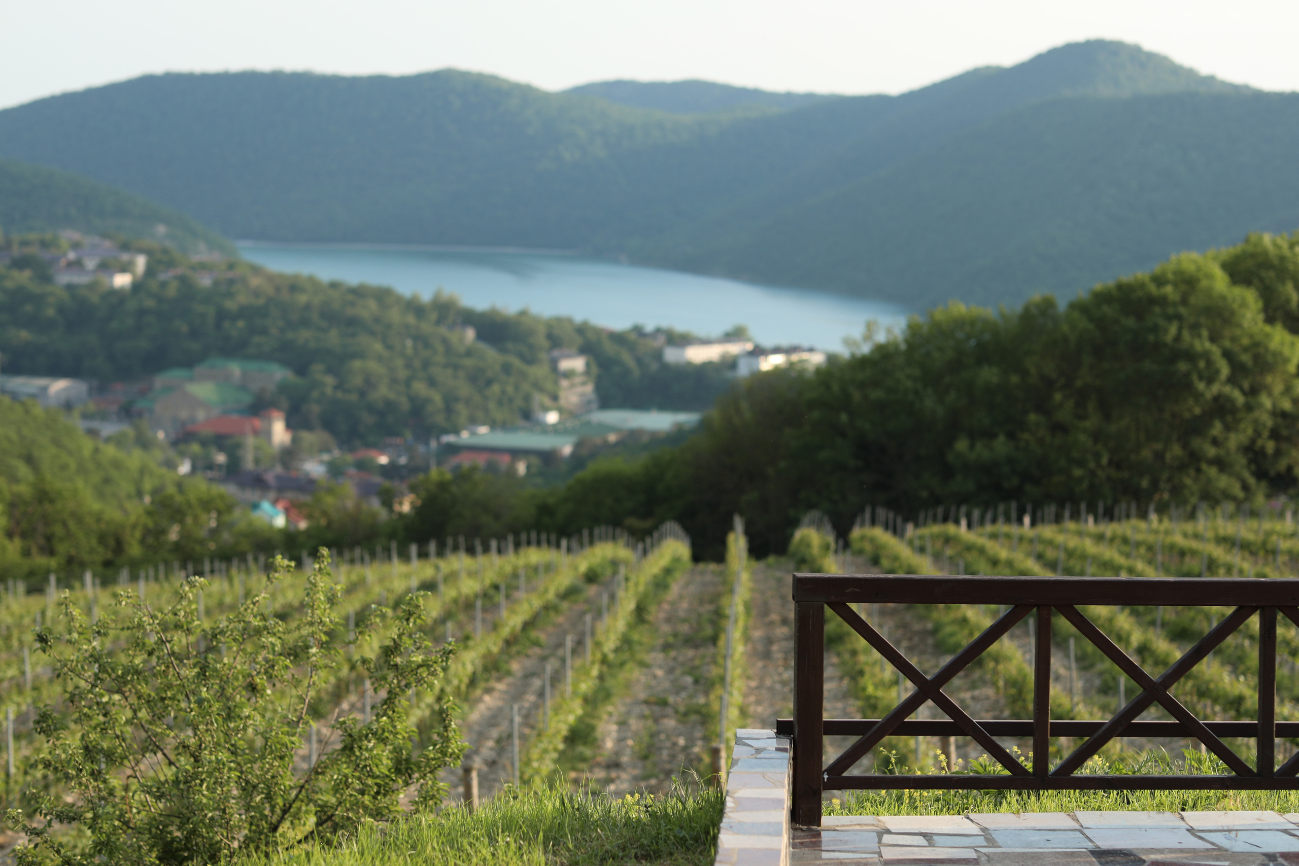 Абрау. Семейный фотограф в Анапе Светлана Тернопол