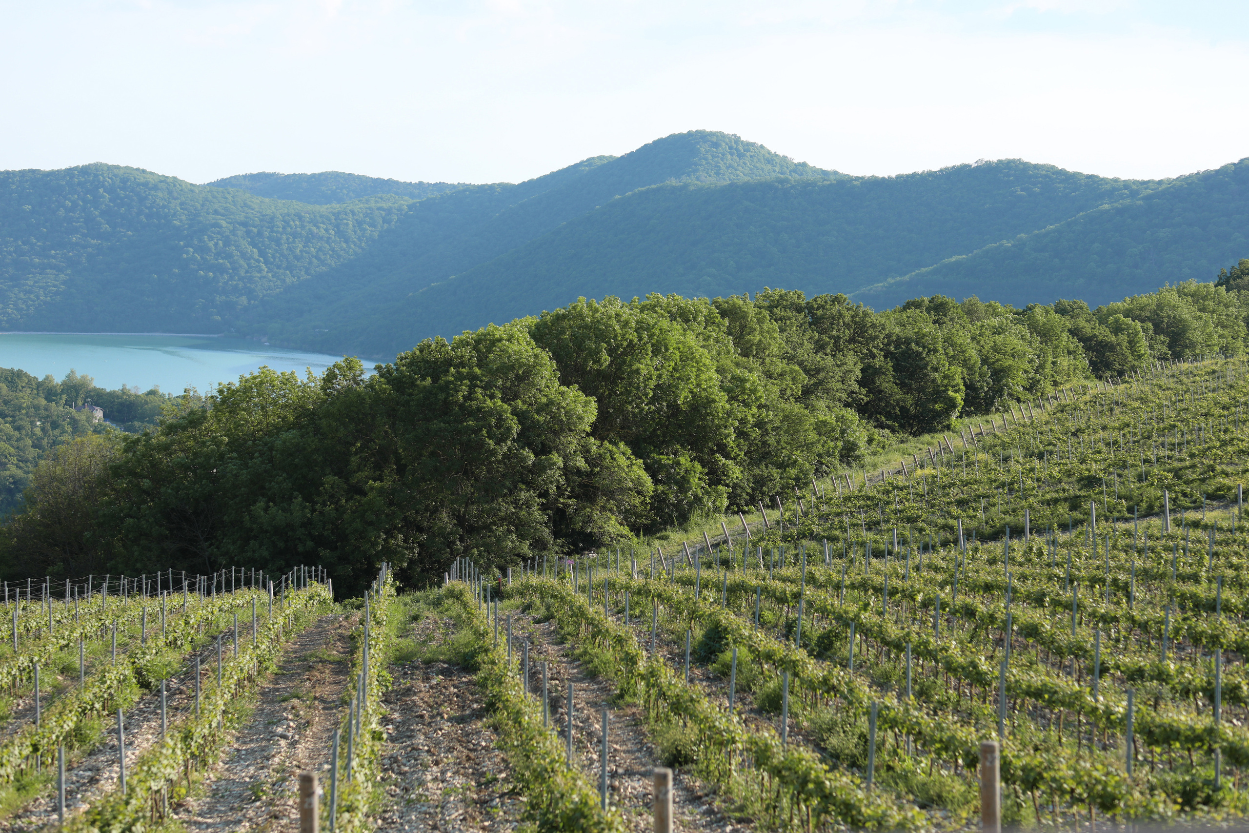Абрау. Семейный фотограф в Анапе Светлана Тернопол