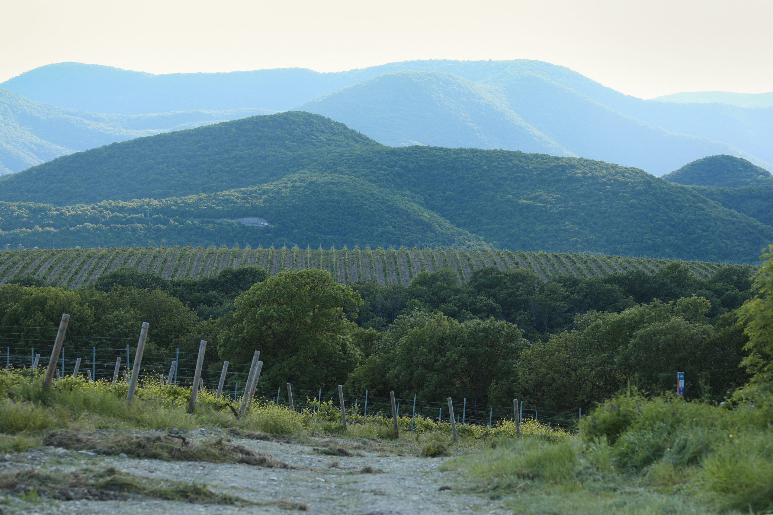 Абрау. Семейный фотограф в Анапе Светлана Тернопол