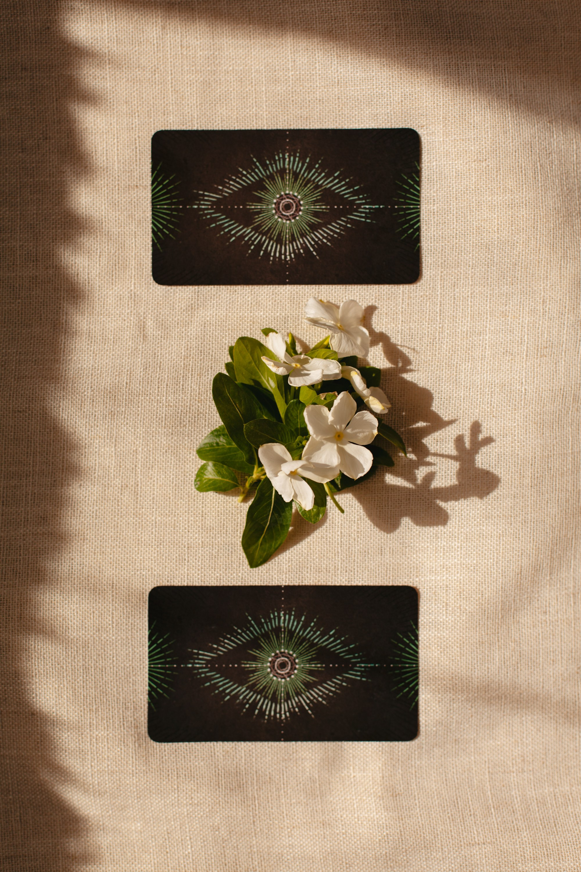 Таро. Виолетта Скрипка