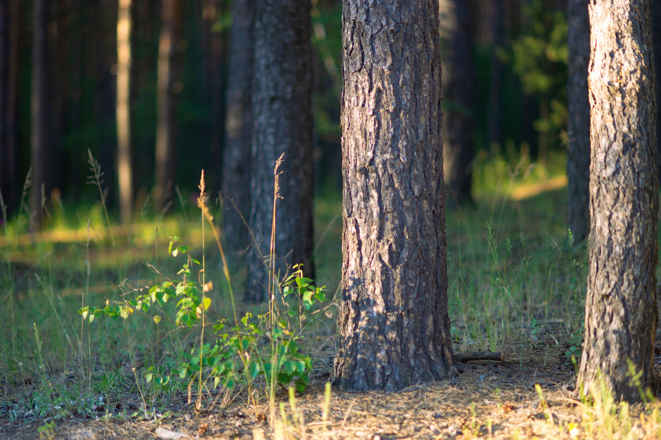 Пейзажи Арзамаса