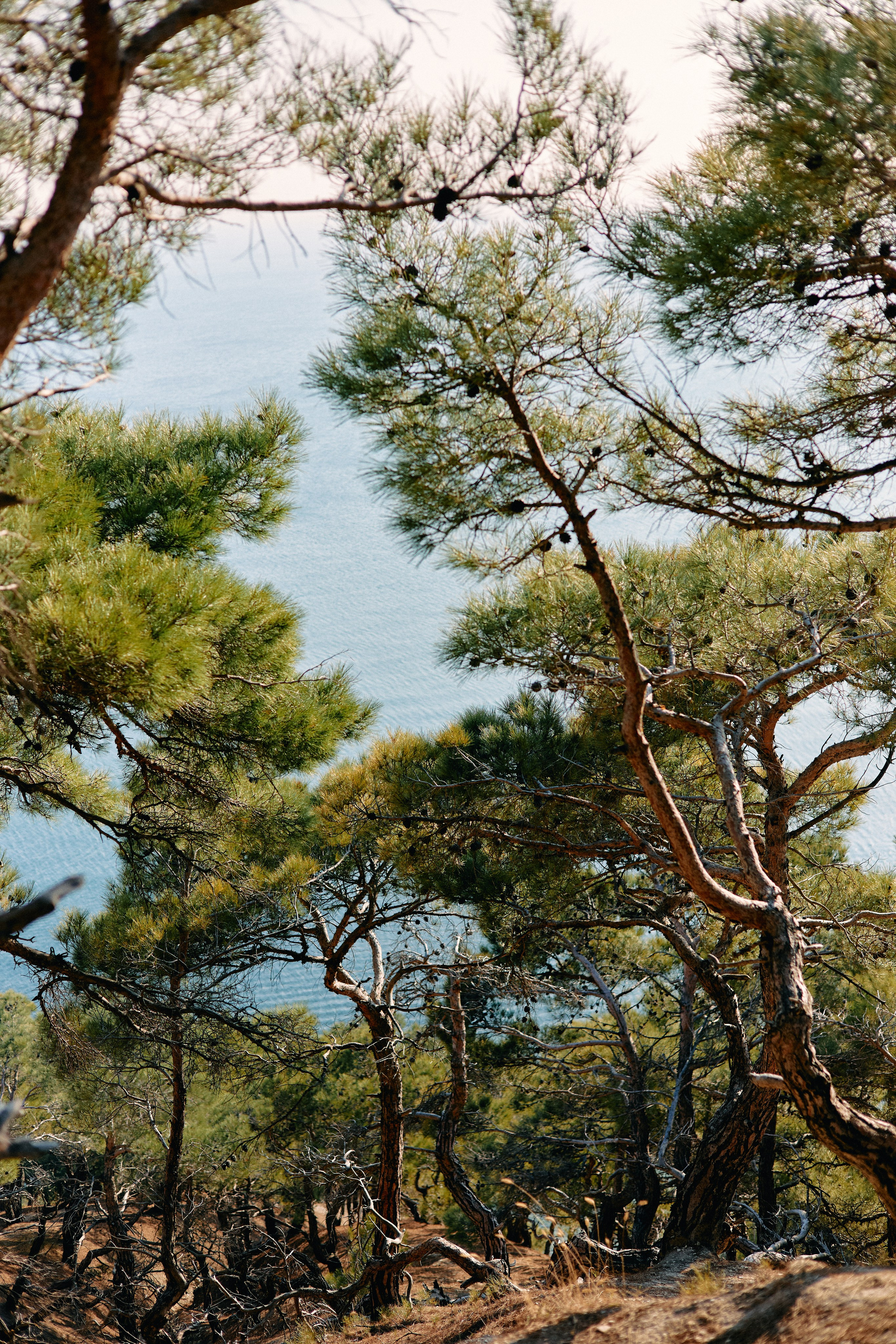 Юг России. Профессиональный Фотограф во Владимире, в Москве и в Суздале — Полина Романычева