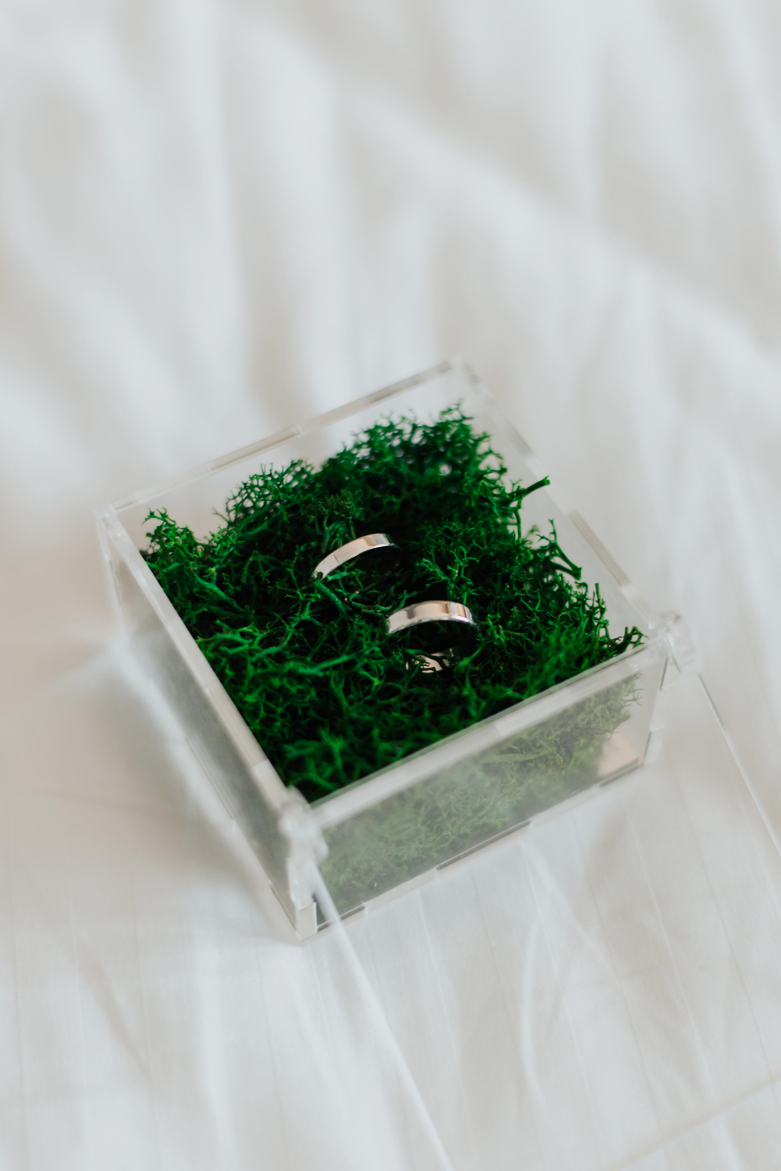 Михаил и Наталия, 2023. Фотограф Арина Асылгузина