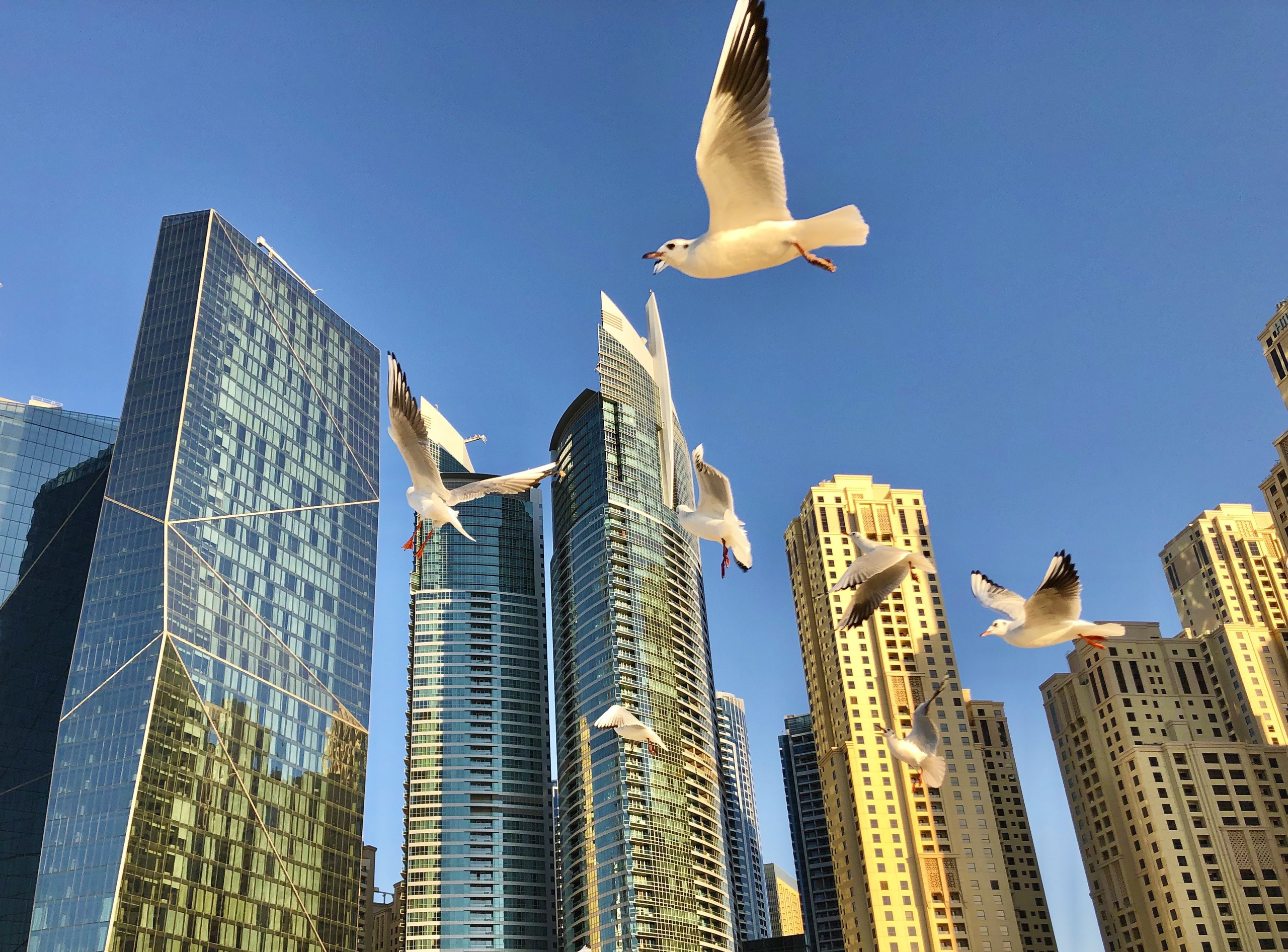 Снято на телефон. Фотография, ретушь, сканирование, восстановление старых фото, интерьерная съёмка, студия. Данилов Александр, Москва