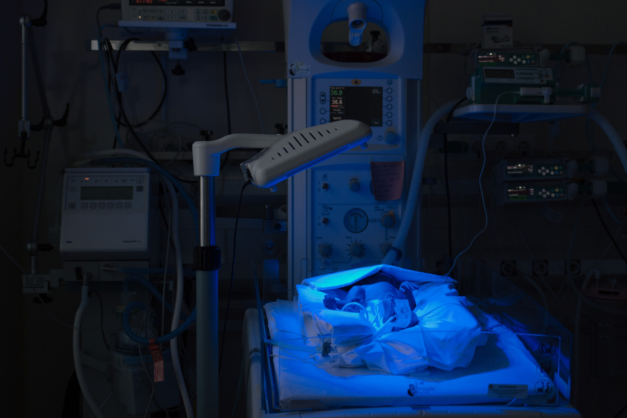 DOC. Photographer Alina Skitovich