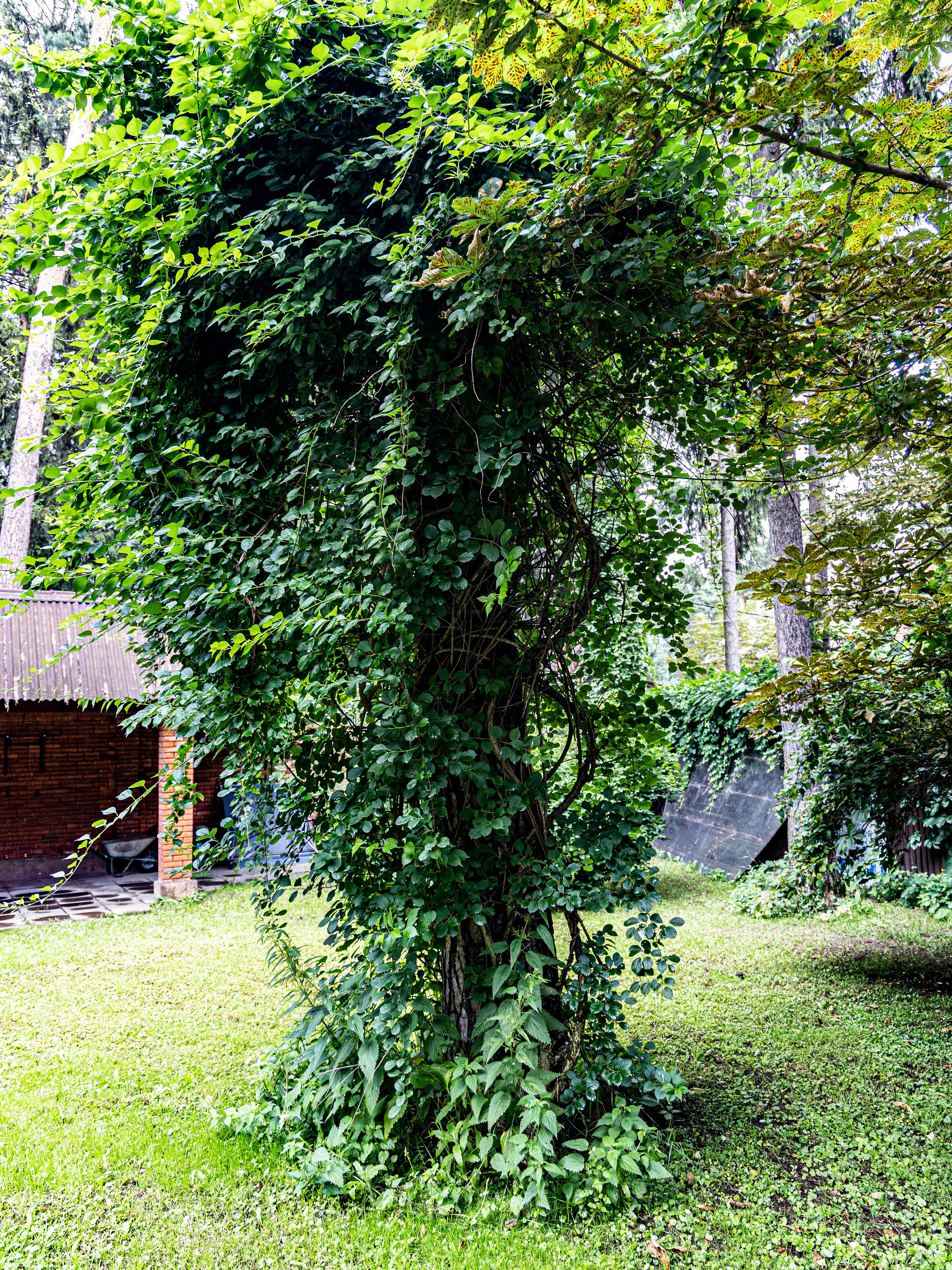 Фотограф Татьяна Марсуверских г. Жуковский, Москва и Мо. Репортажные съёмки, фотосессии. Детский, семейный фотограф. Фотограф для маркетплейсов, фотоуслуги в Жуковском Татьяна Марсуверских