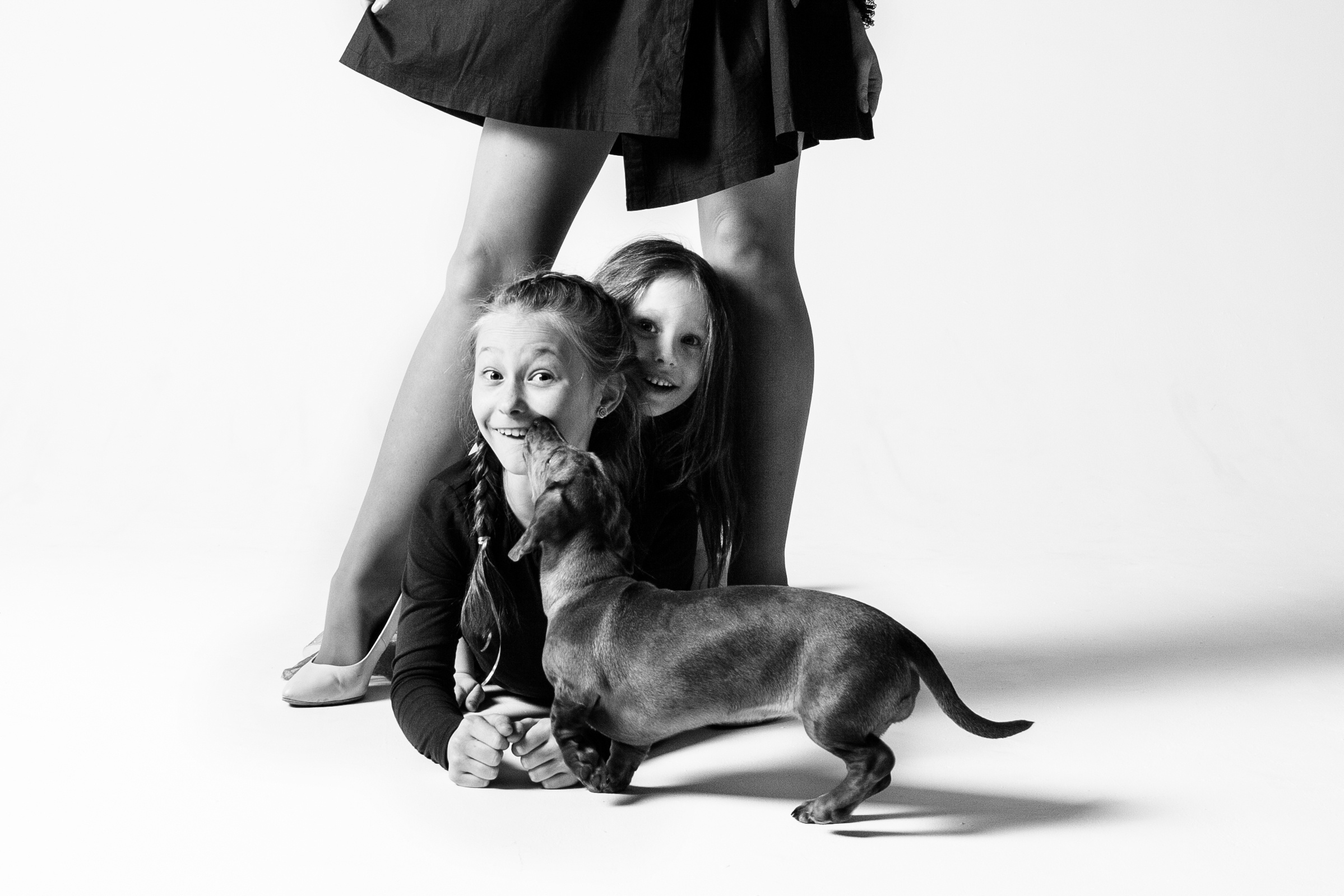 Свадебный альбом. Фотограф в Москве Павлова Ксения