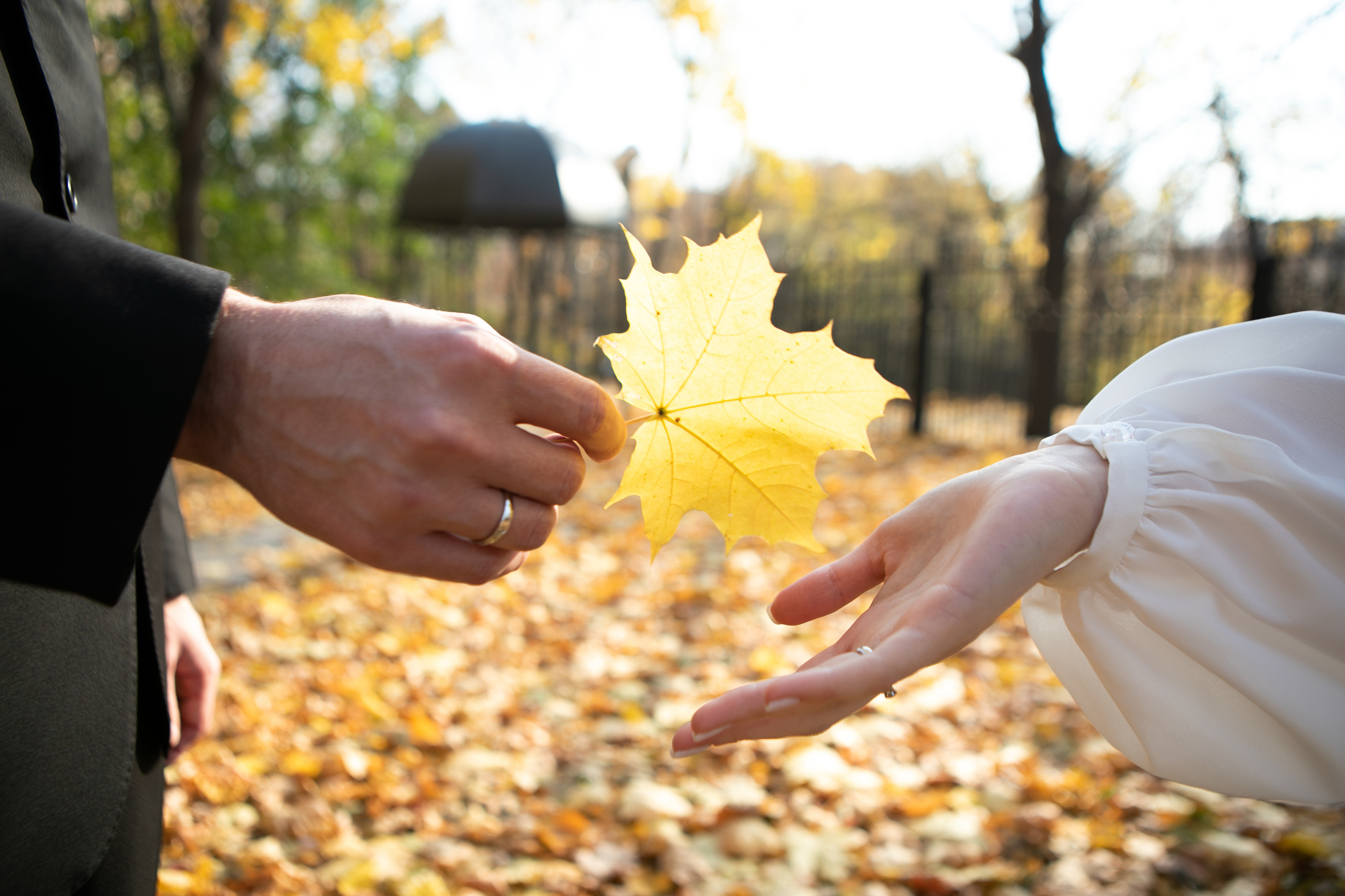 Свадебный альбом. Фотограф в Москве Павлова Ксения