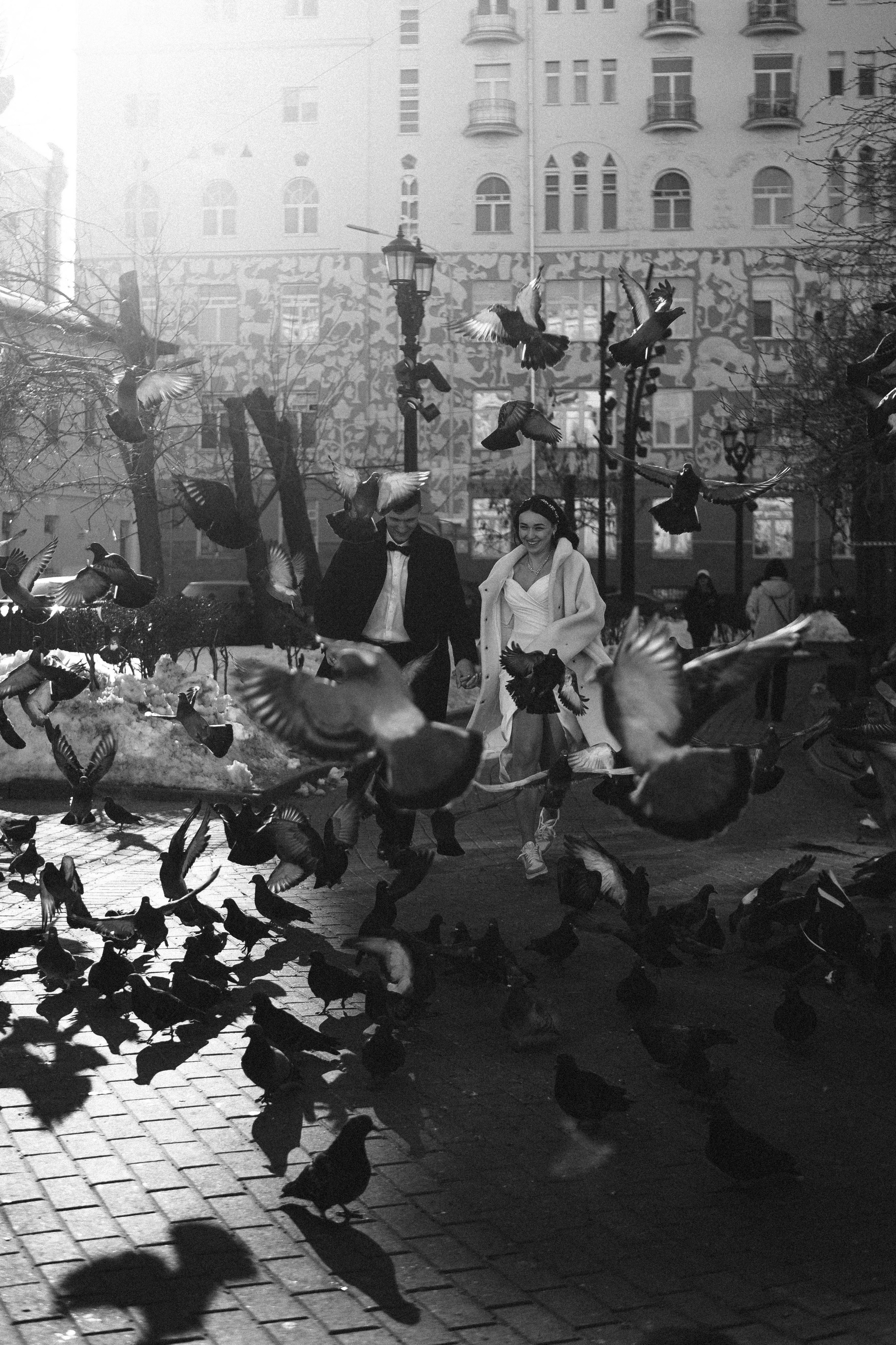 Алина и Сергей. Свадебный фотограф Оля Григунова