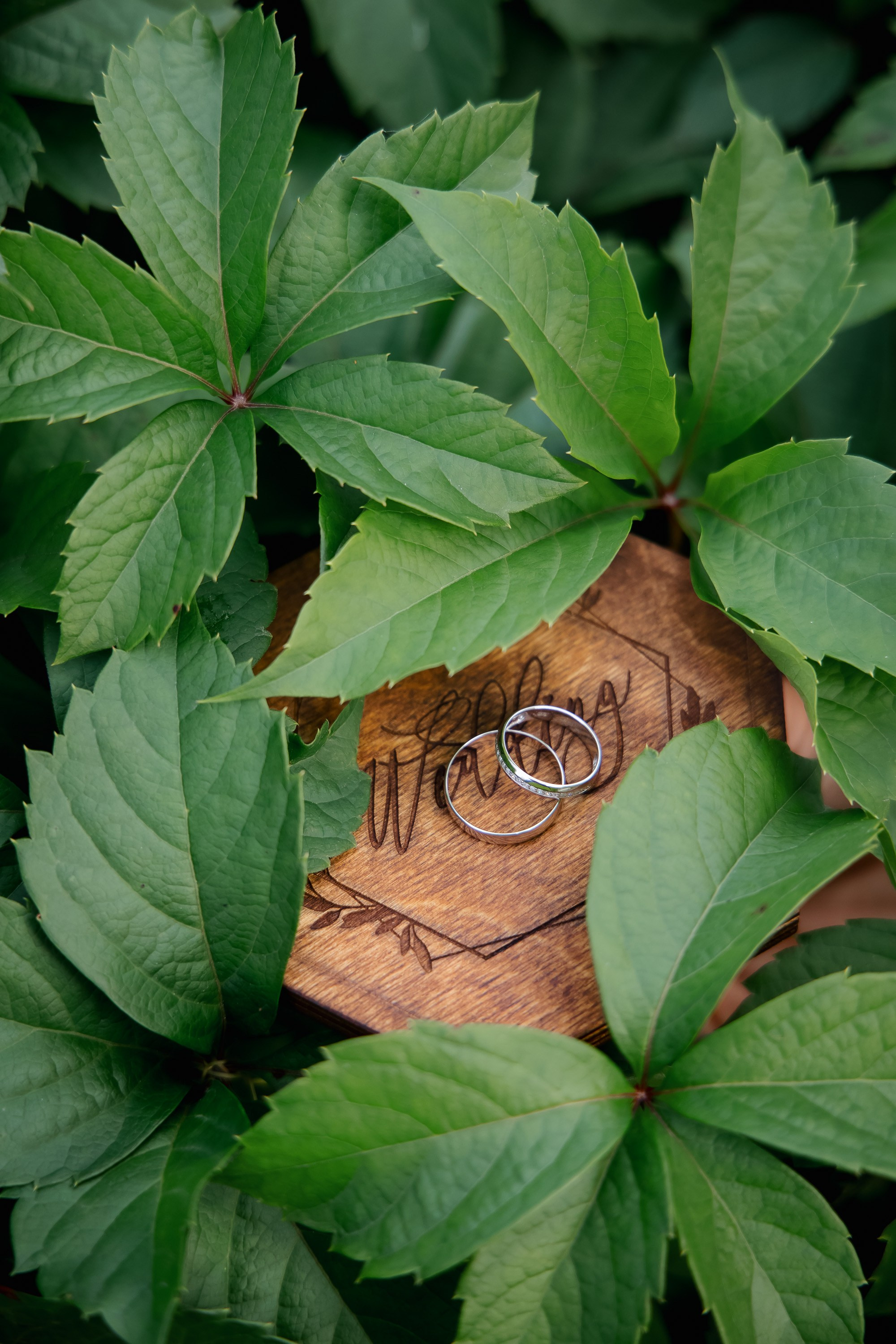 Свадебный фотограф в Хабаровске