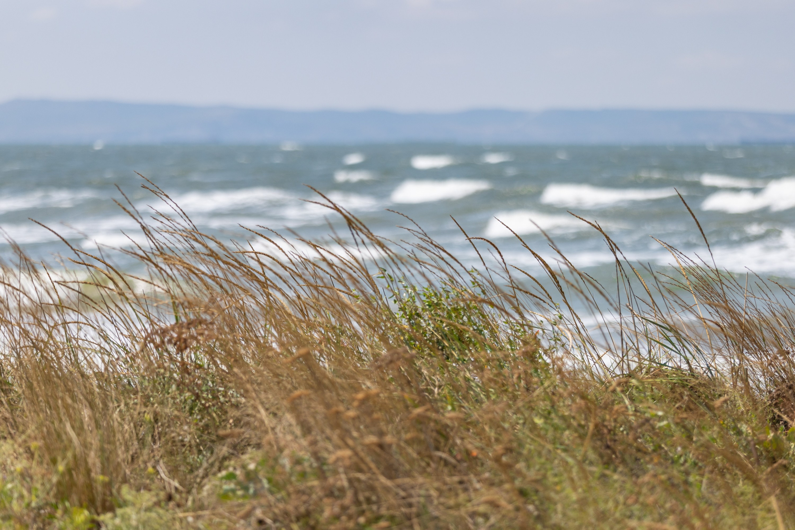 Азовское море. Фотограф Владимир Охрименко