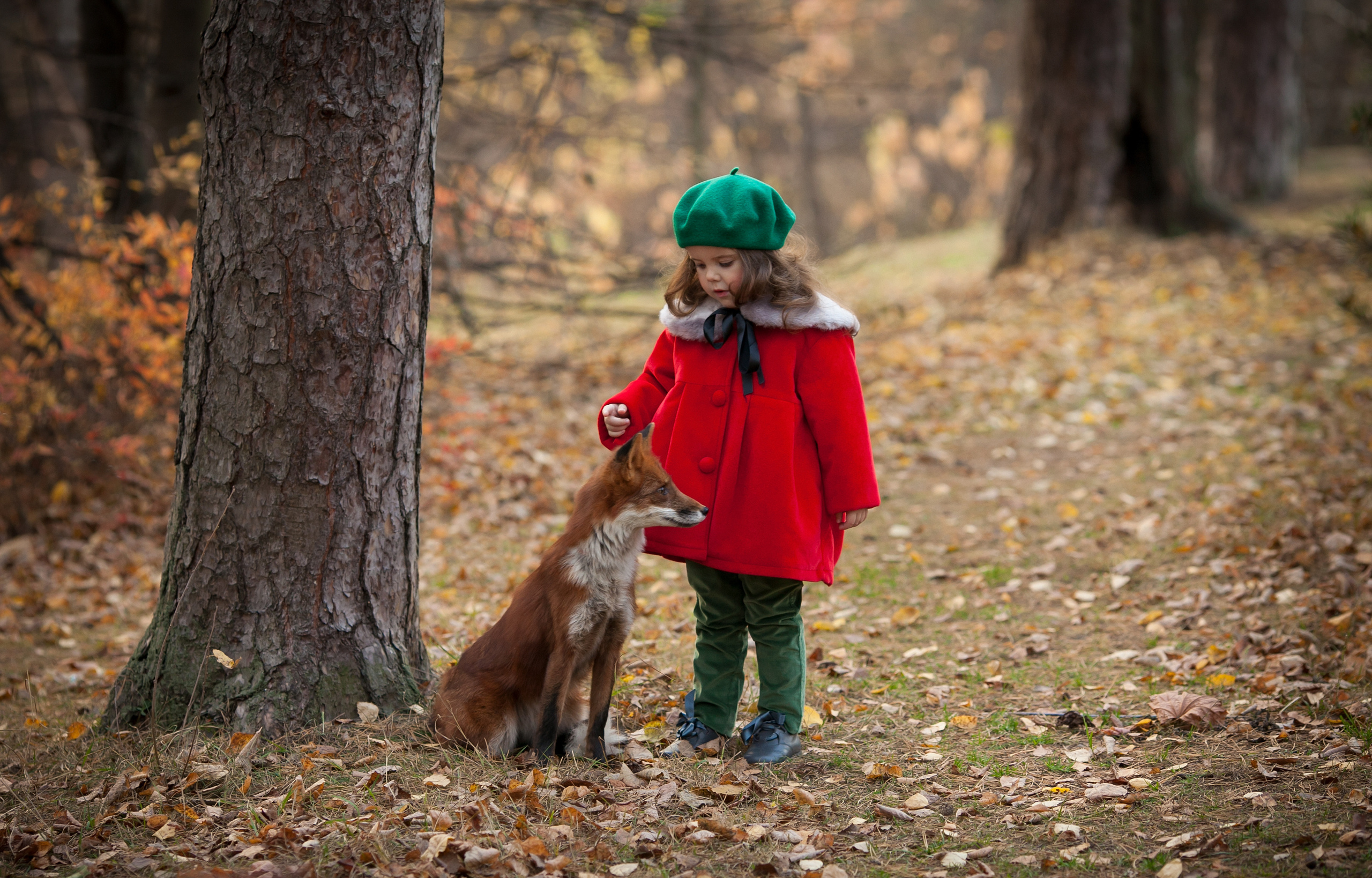 Детская фотосессия в Москве. Детский и семейный фотограф в Москве СВАО Екатерина Алалыкина