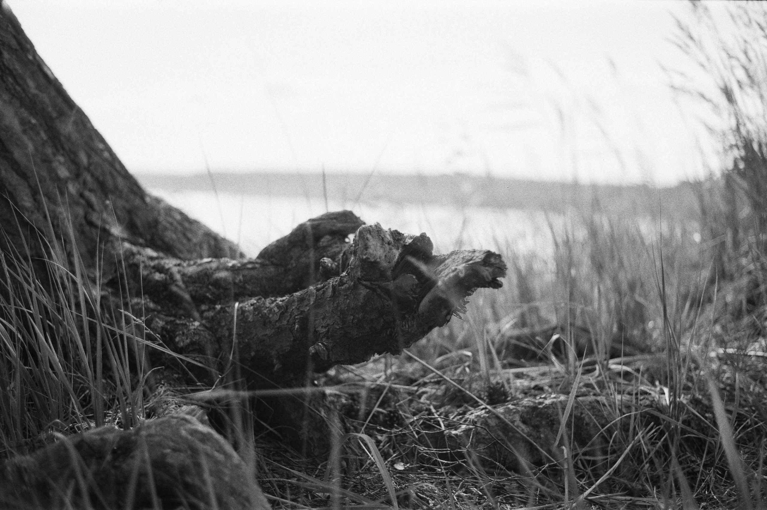 Фотосессия у Дубль дома у озера Отрадное (Приозерск)