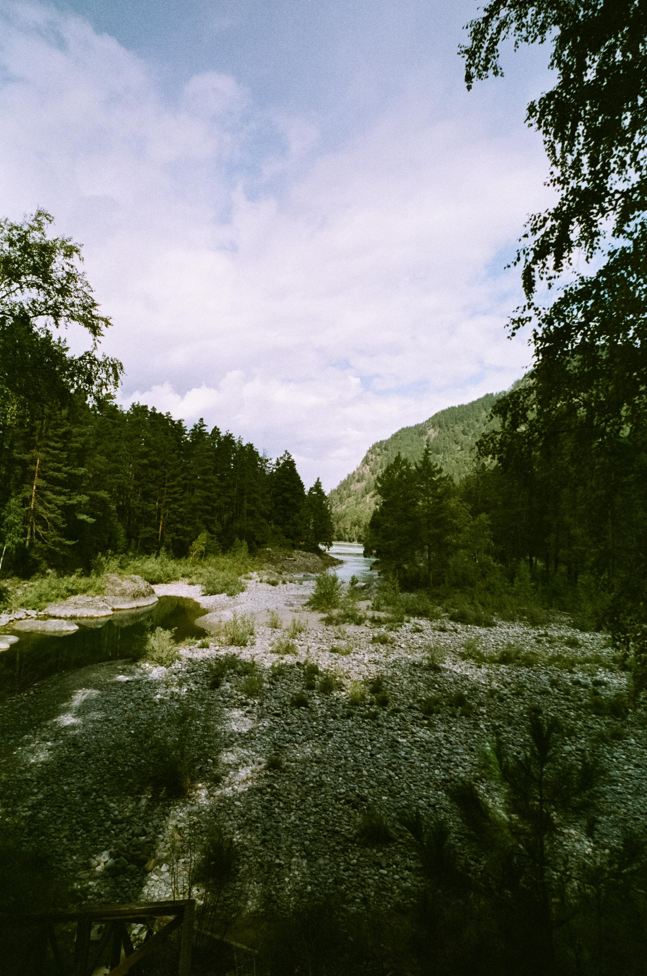 Катуньские ванночки / Agfacolor pro 200 (просрочка) / Contax G1 Carl Z