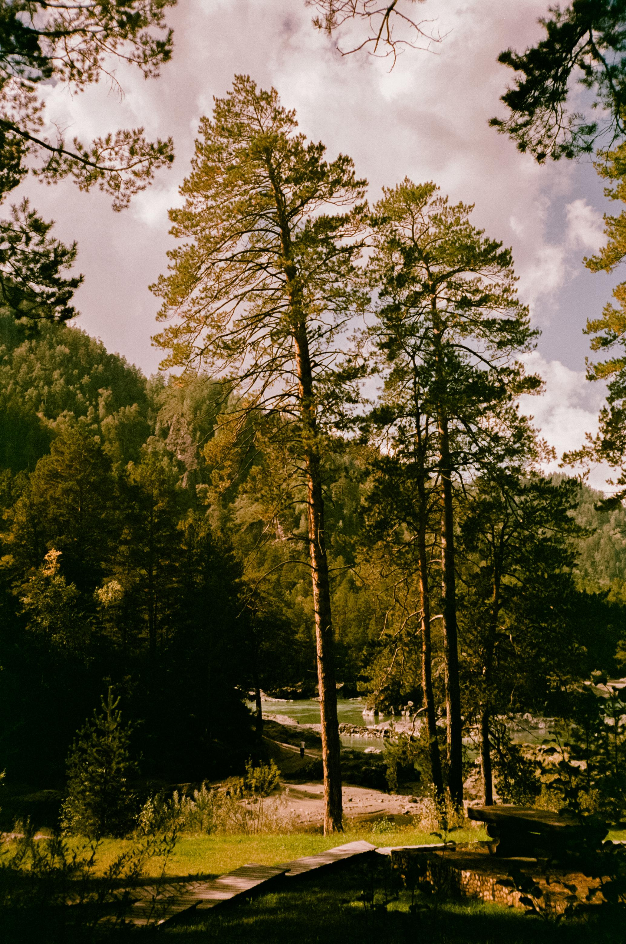 Кедровый Остров, река Катунь, база Бережок