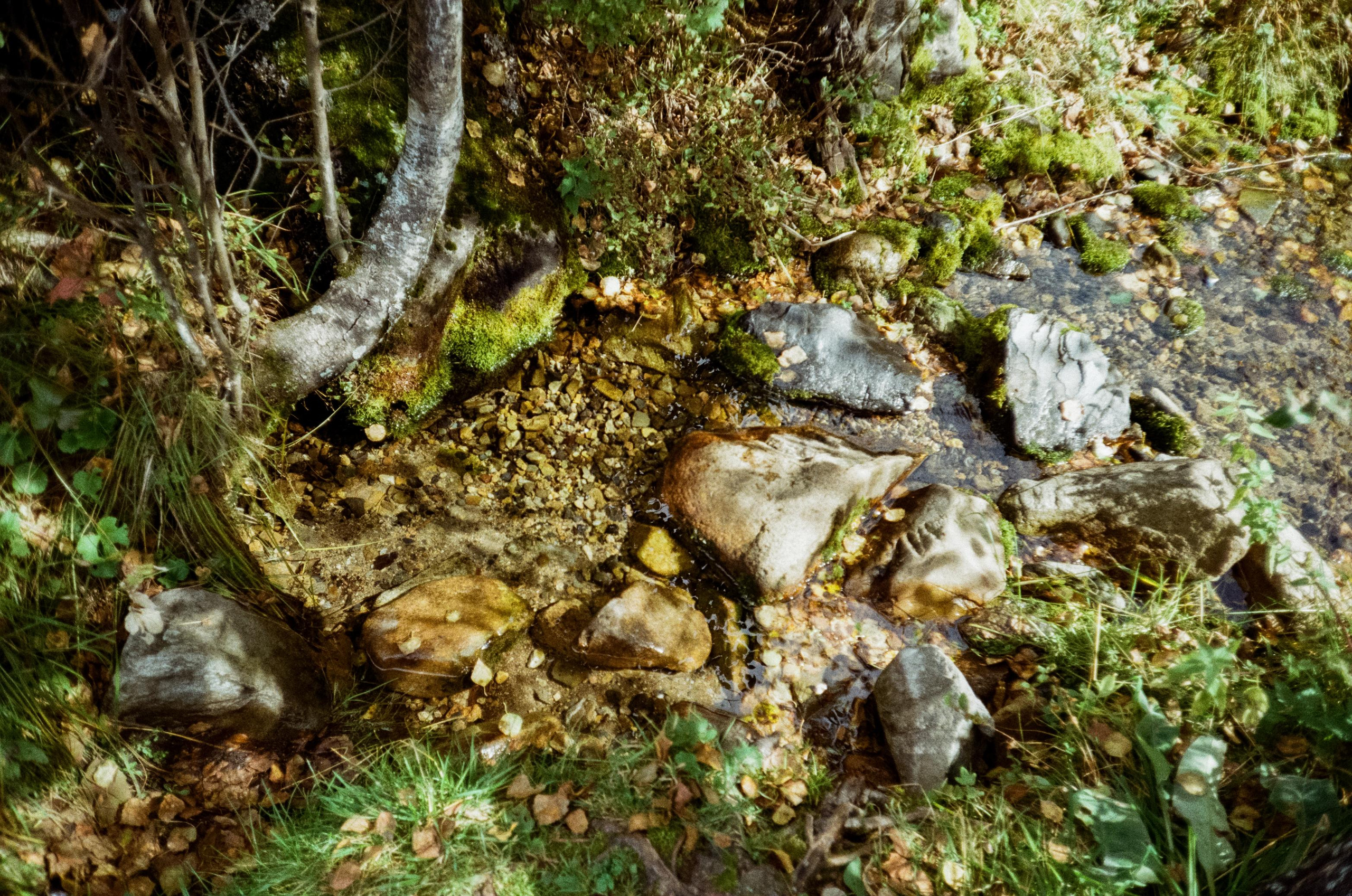 Самые красивые места Алтая