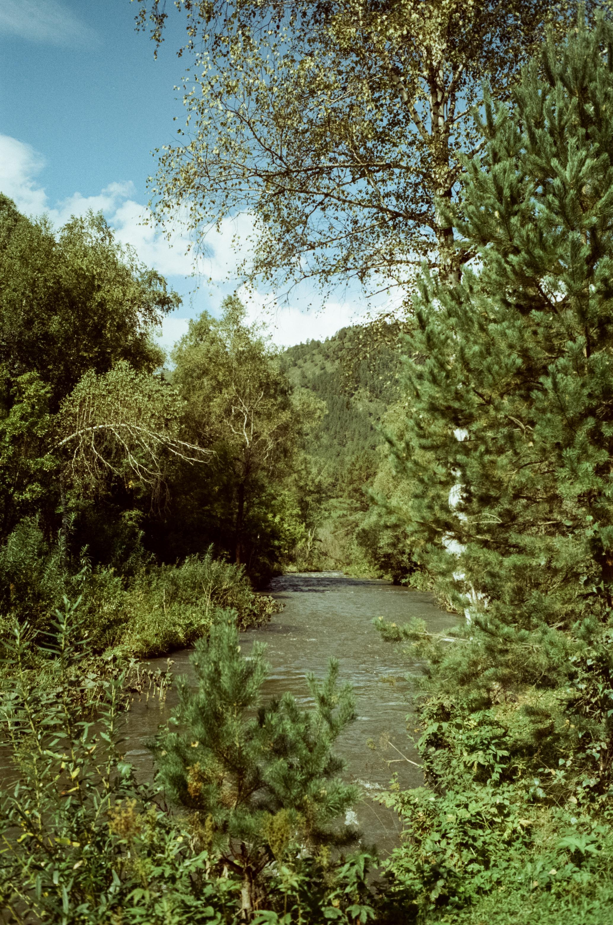 Самые красивые места Чемальского тракта на фотопленку