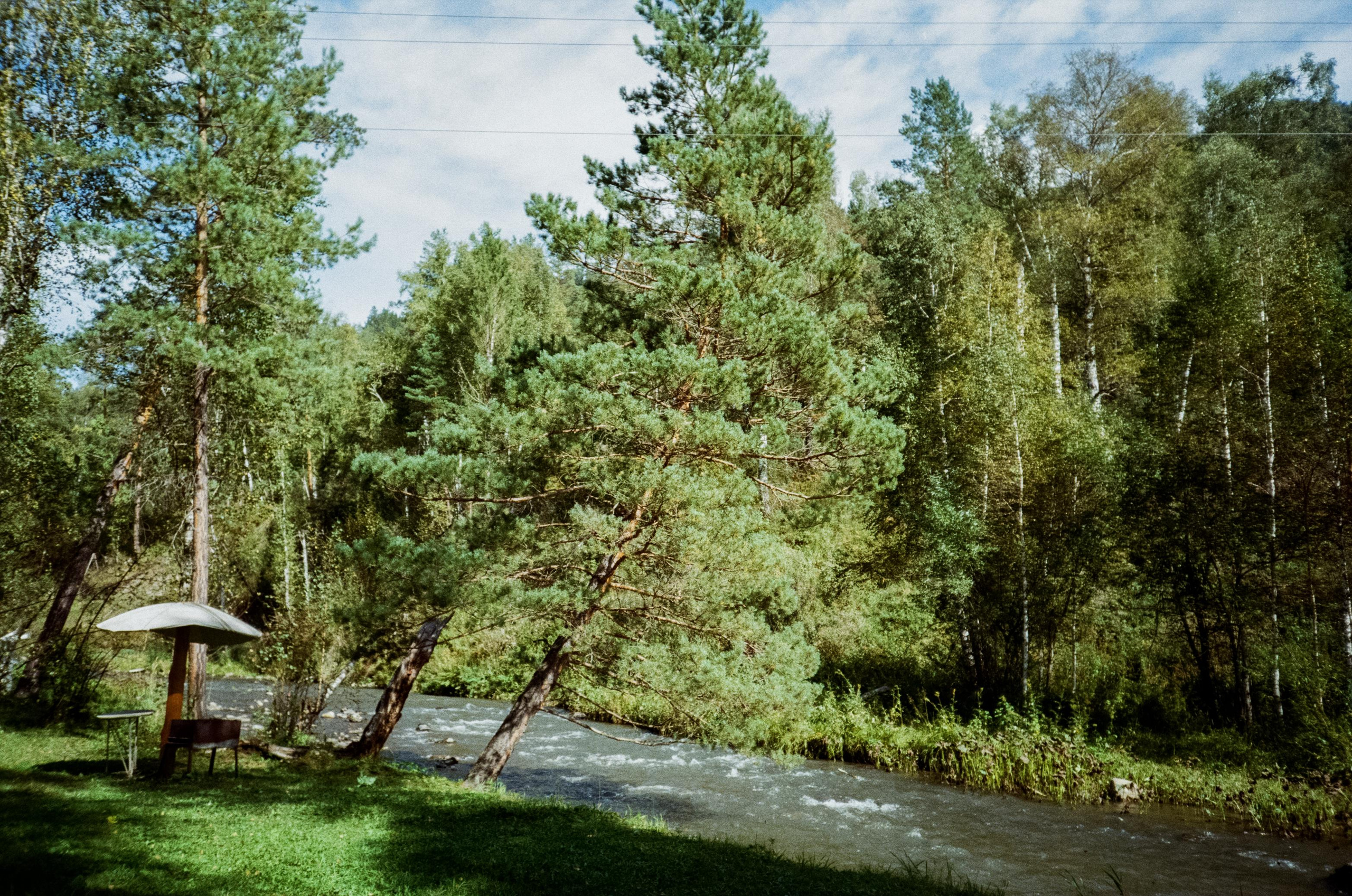 Примеры фотографий Алтай на фотопленку