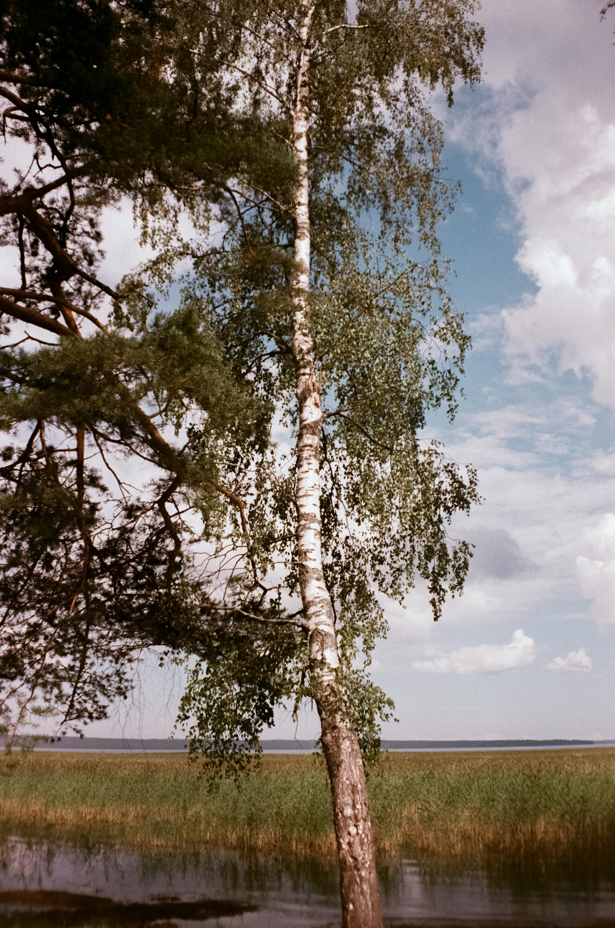 Озеро Отрадное, снятое на просроченную пленку