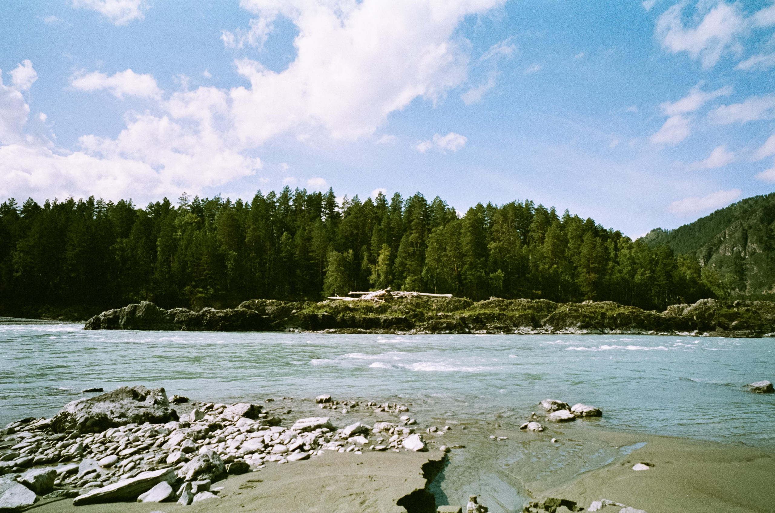 Катуньские ванночки / Agfacolor pro 200 (просрочка) / Contax G1 Carl Z