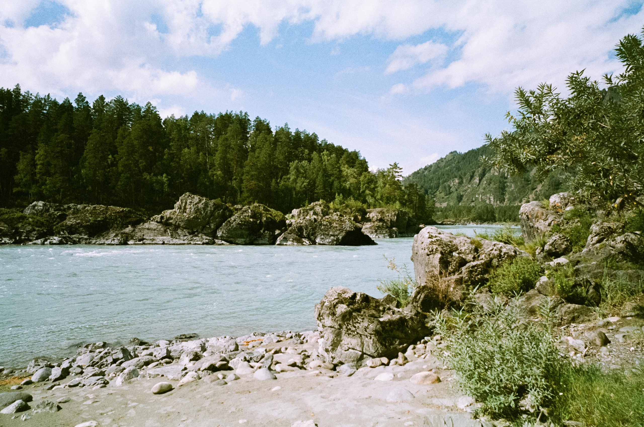 Катуньские ванночки / Agfacolor pro 200 (просрочка) / Contax G1 Carl Z