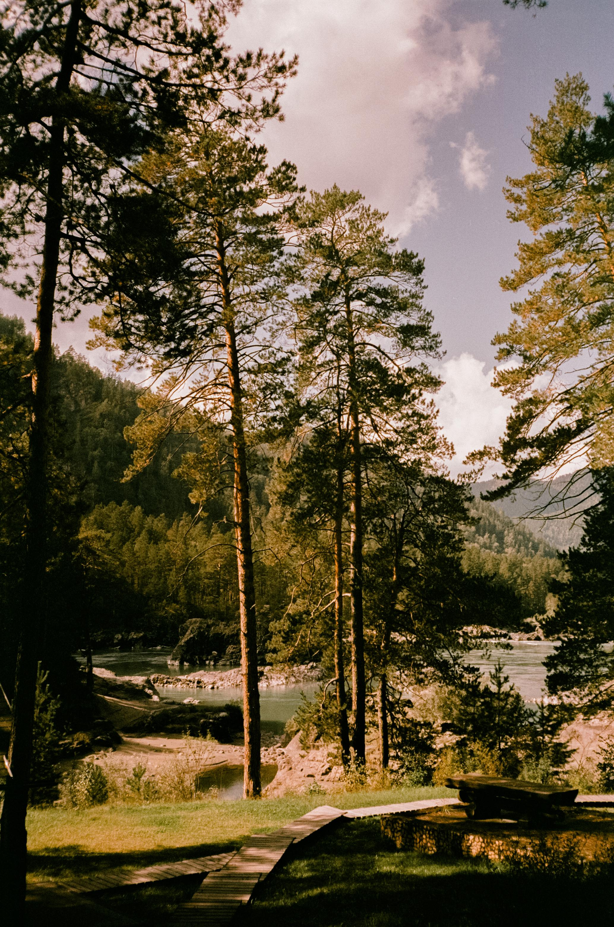 Кедровый Остров, река Катунь, база Бережок