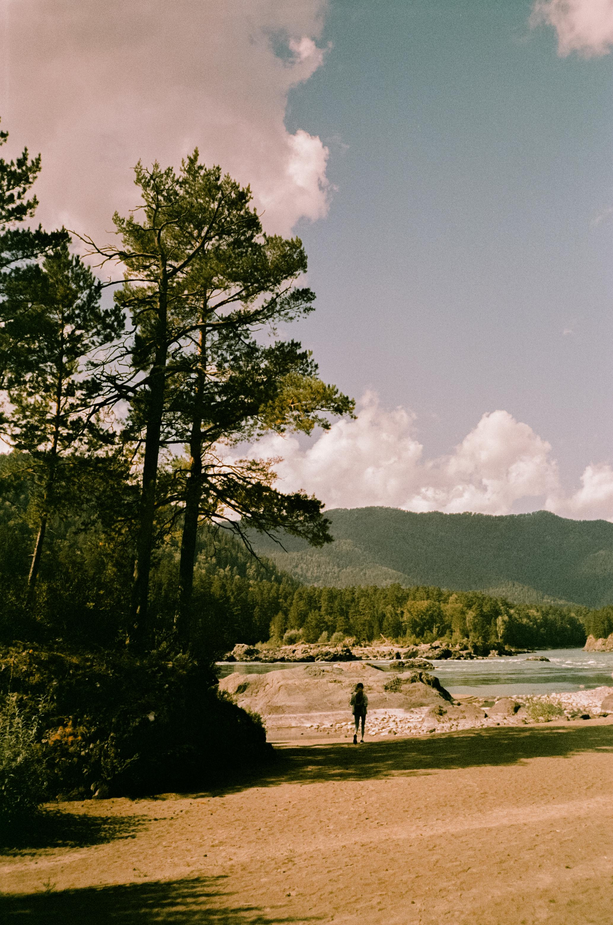Кедровый Остров, река Катунь, база Бережок