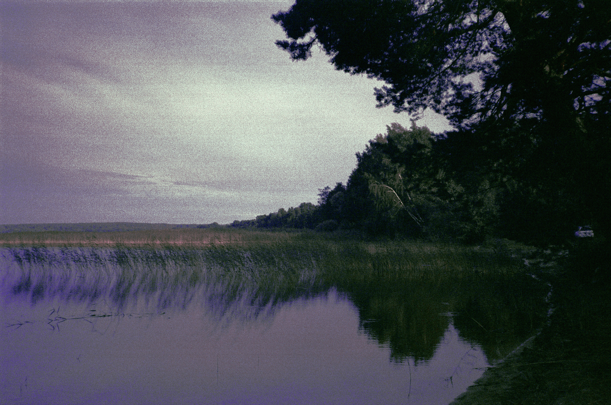 Фотография на просроченную пленку Konica Centuria 400