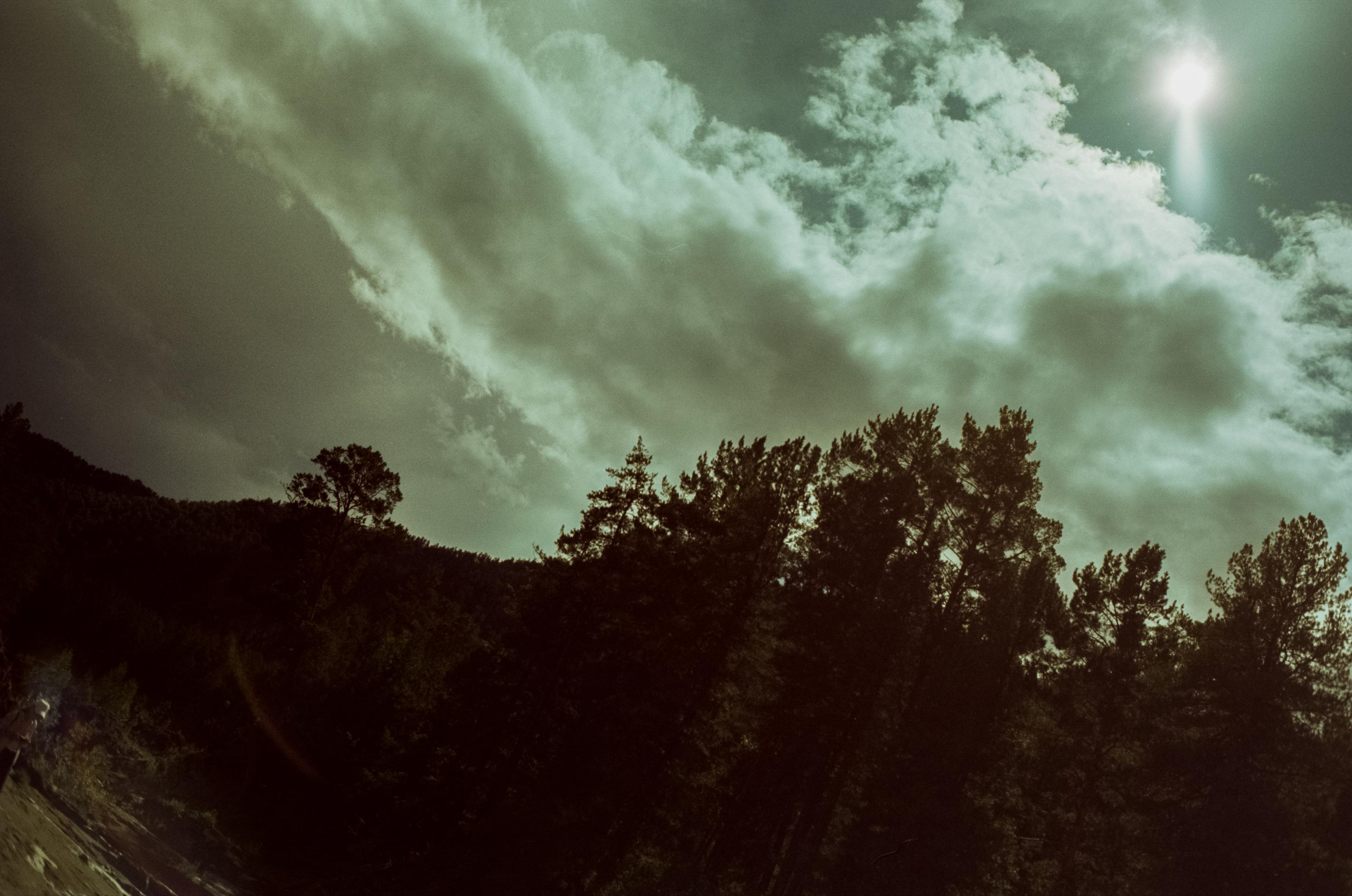 Самые красивые места Чемальского тракта на фотопленку