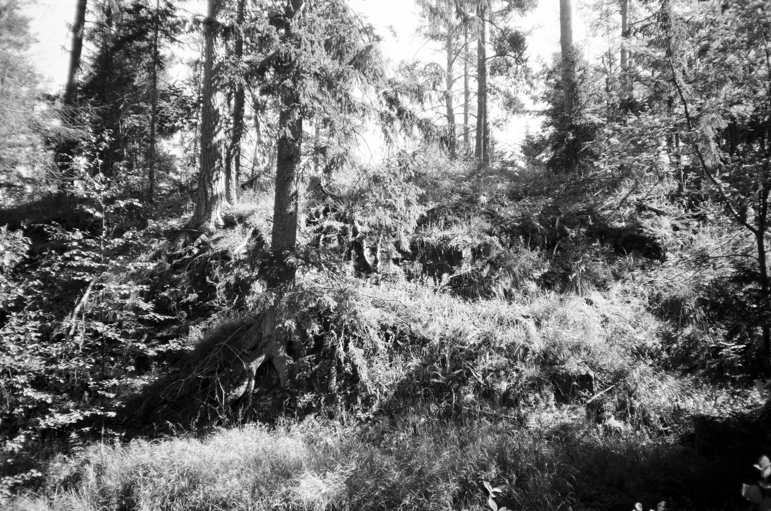 Поездка на метеоре на остров Валаам