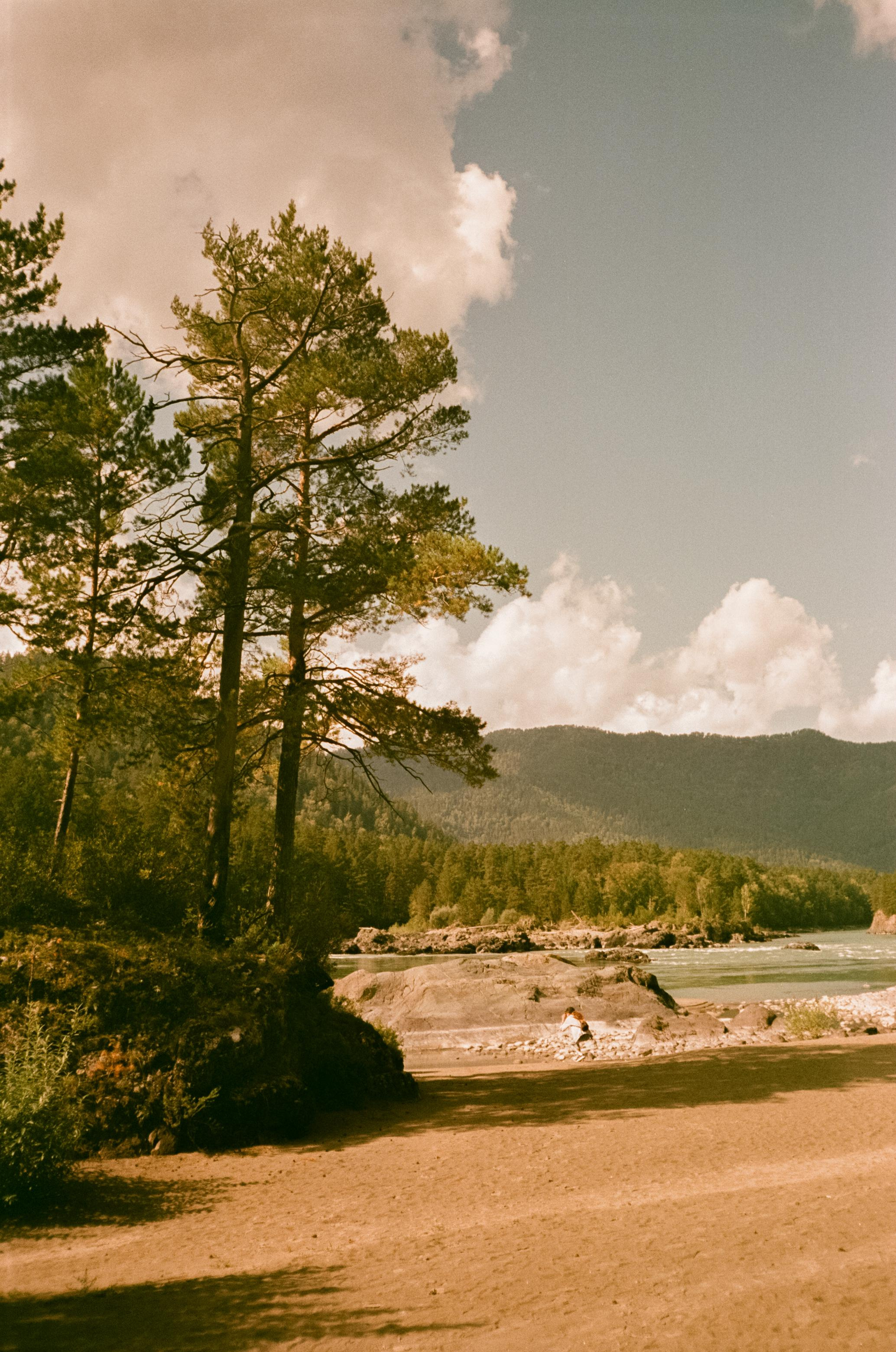 Кедровый Остров, река Катунь, база Бережок