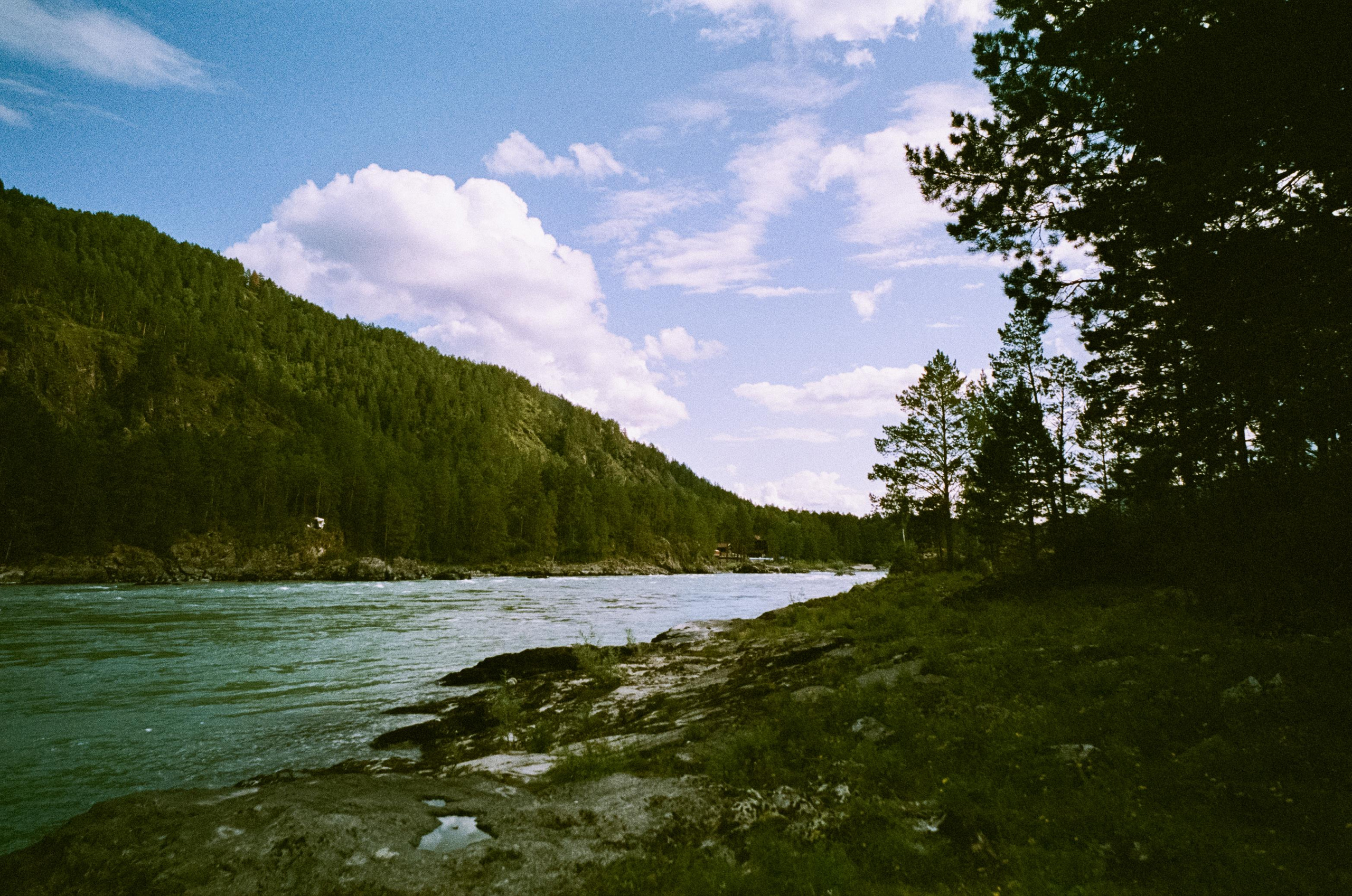 Катуньские ванночки / Agfacolor pro 200 (просрочка) / Contax G1 Carl Z